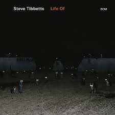 Life Of | Steve Tibbets