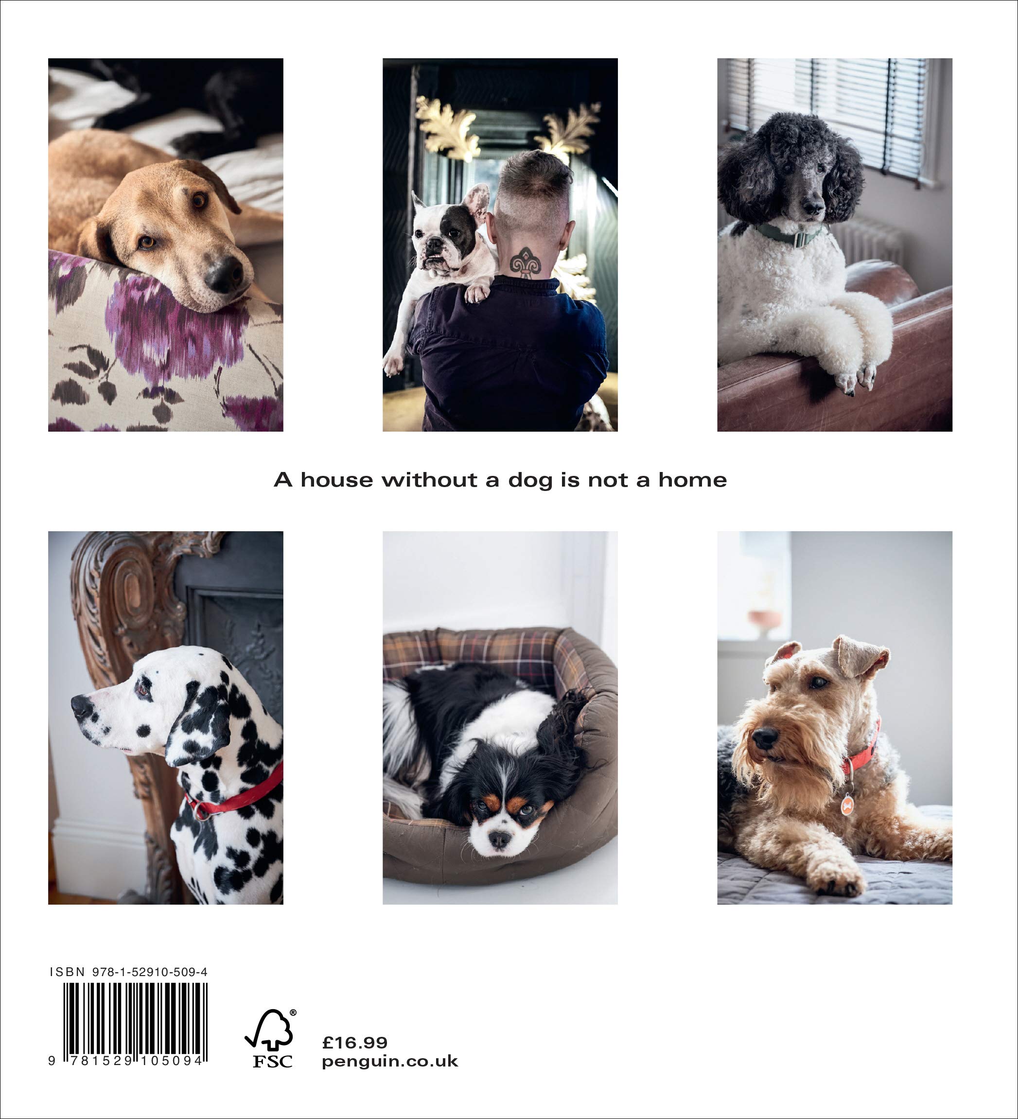Vezi detalii pentru Dogs at Home | Marianne Cotterill