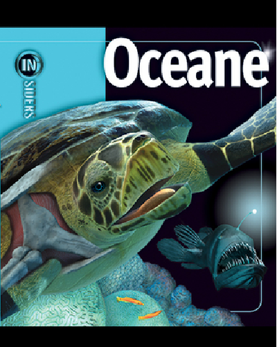 Oceane | Weldon Owen Carte 2022