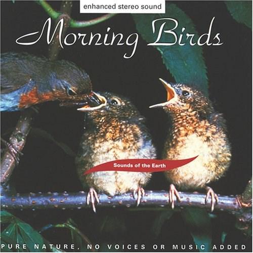 Morning Birds | Sounds of the Earth