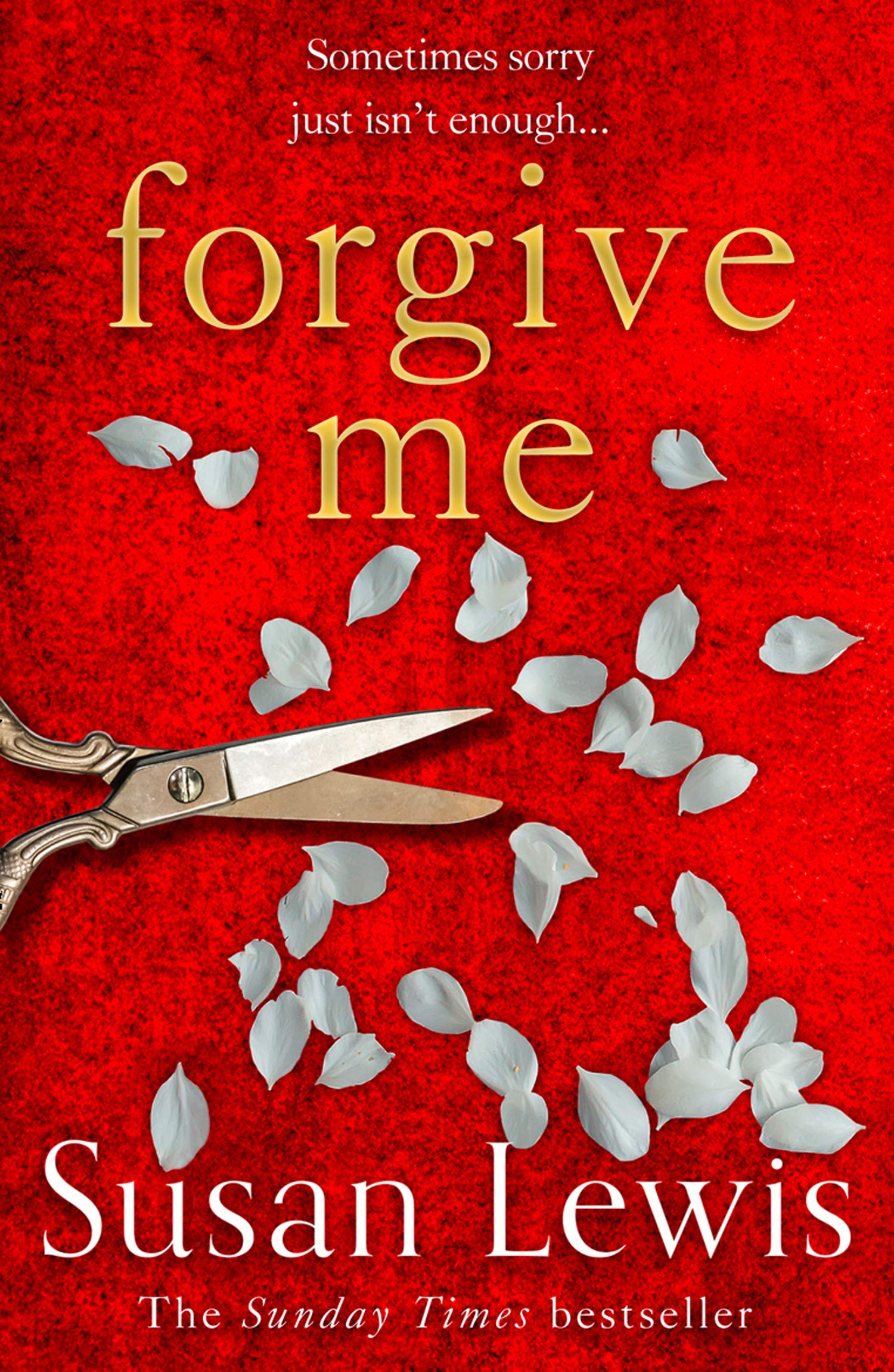 Forgive Me | Susan Lewis