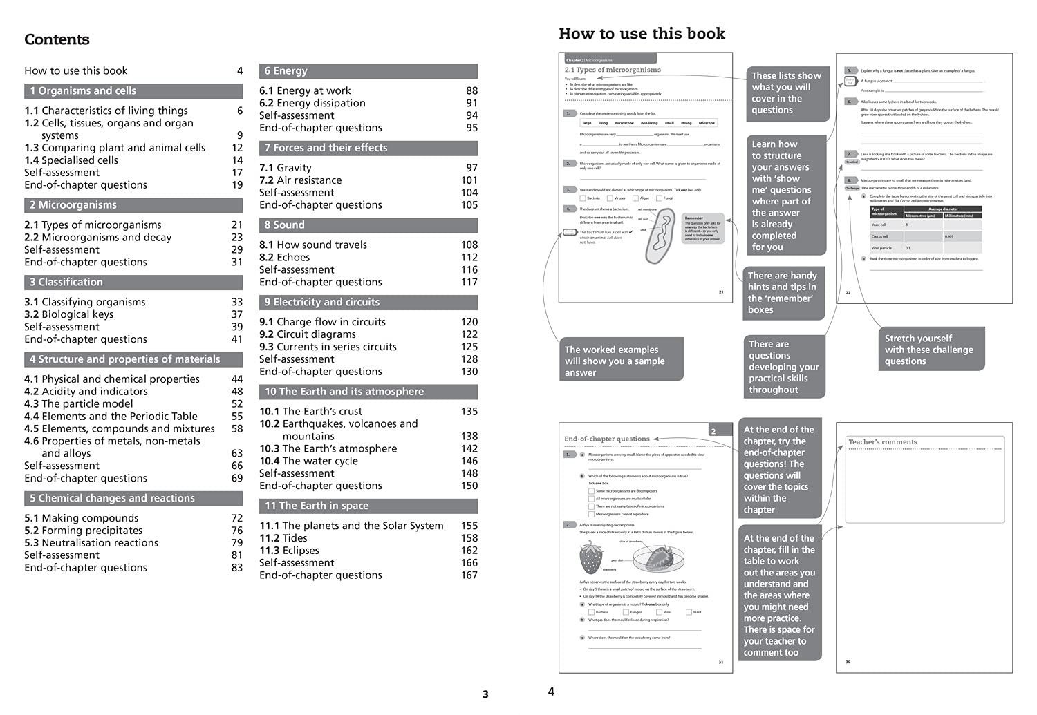 Lower Secondary Science Workbook: Stage 7 |