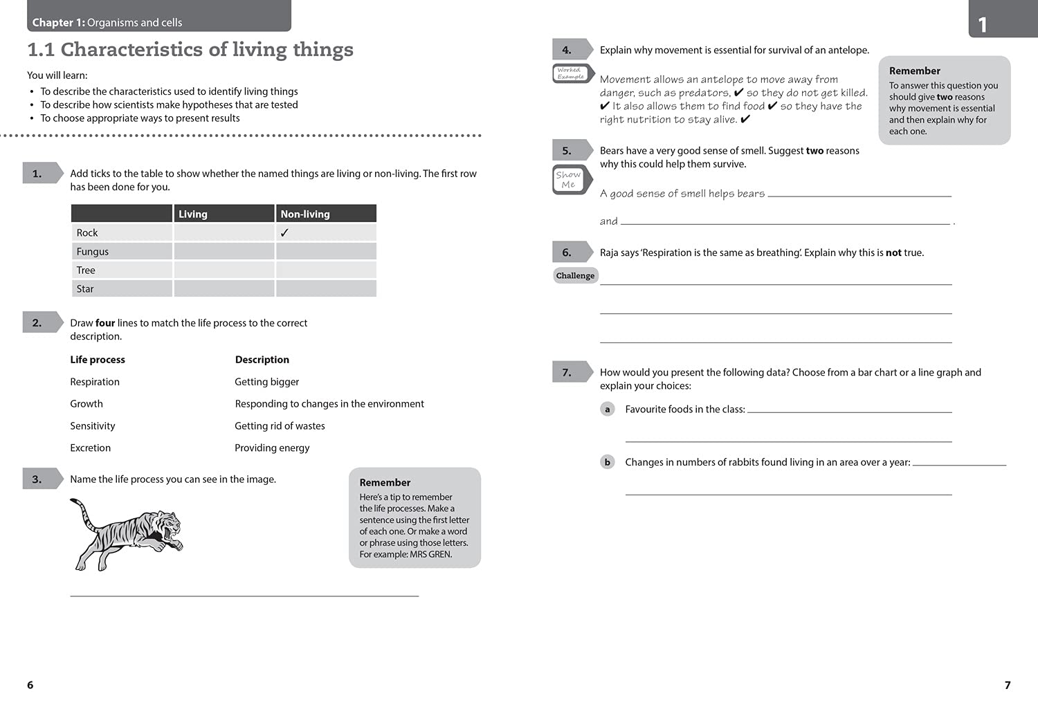 Lower Secondary Science Workbook: Stage 7 | - 1 | YEO