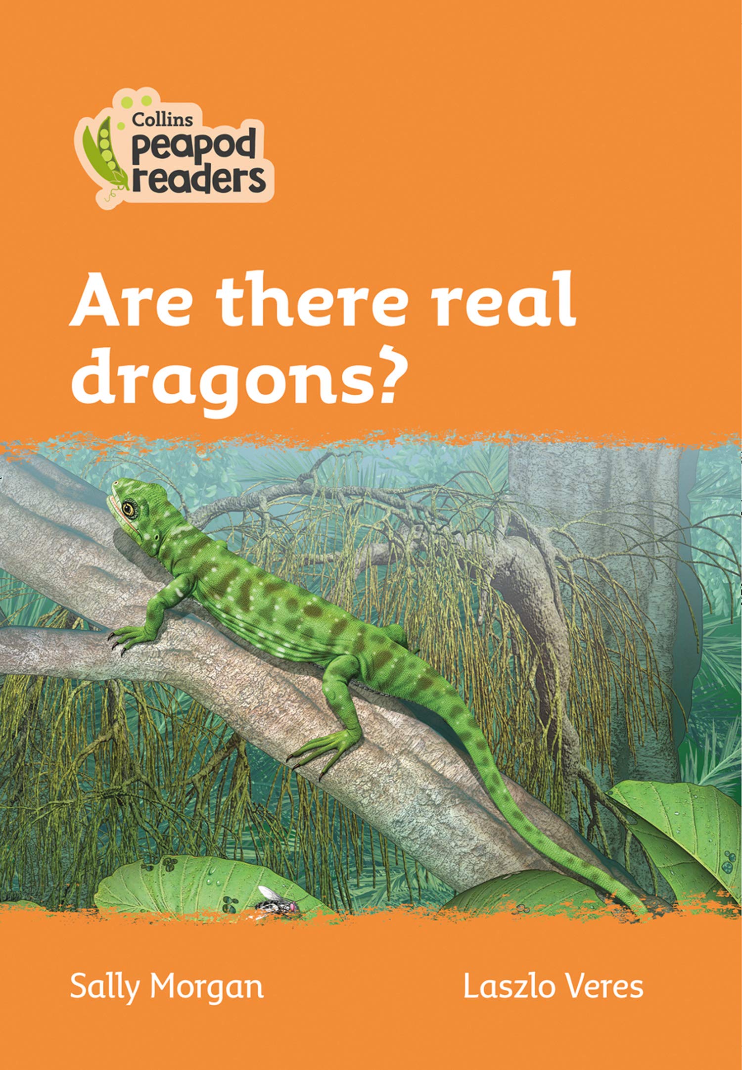 Are There Real Dragons? | Sally Morgan