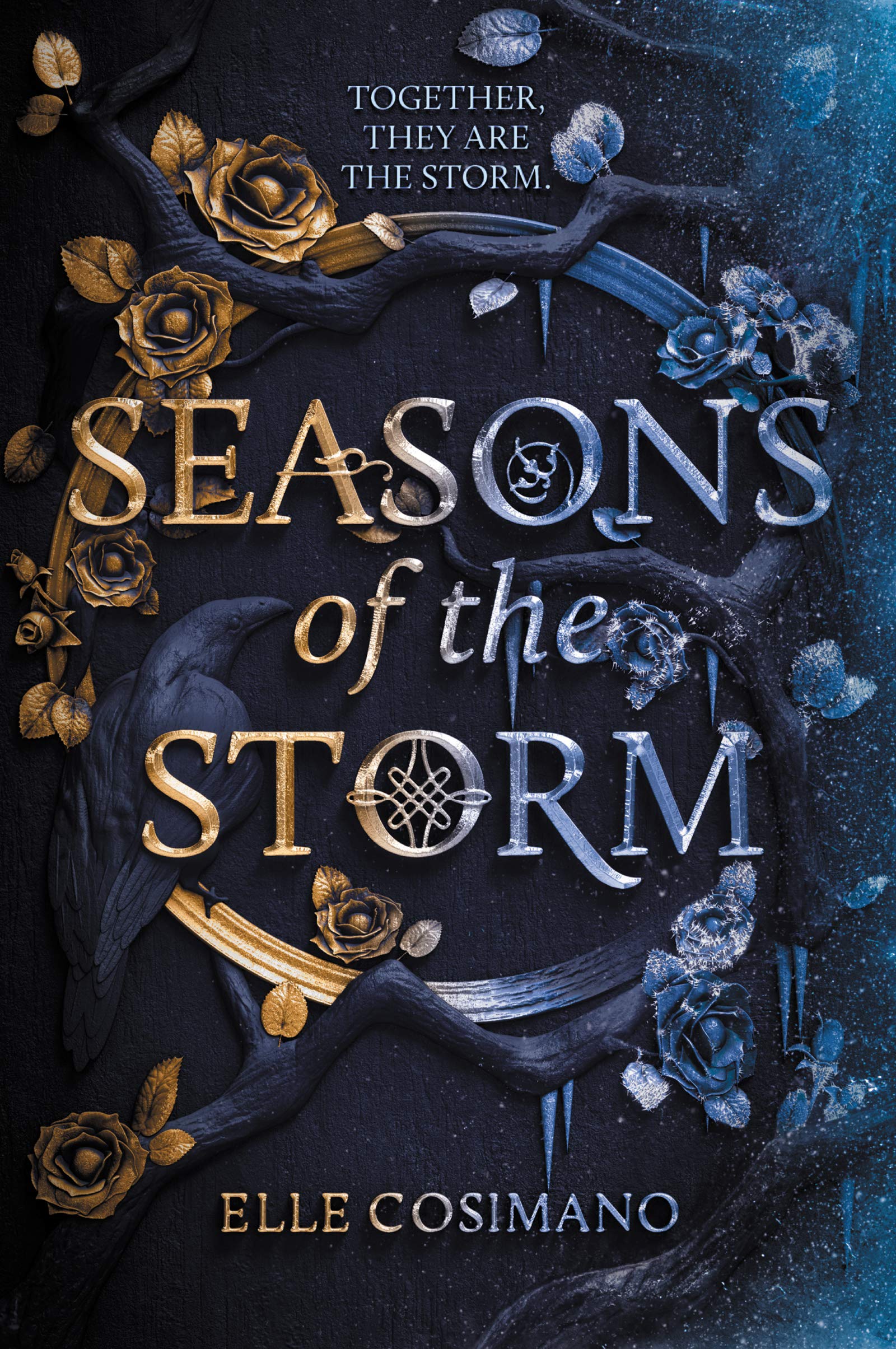 Vezi detalii pentru Seasons of the Storm | Elle Cosimano