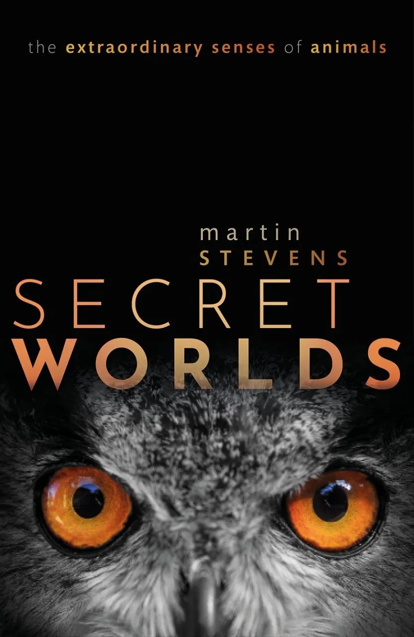 Secret Worlds | Martin Stevens