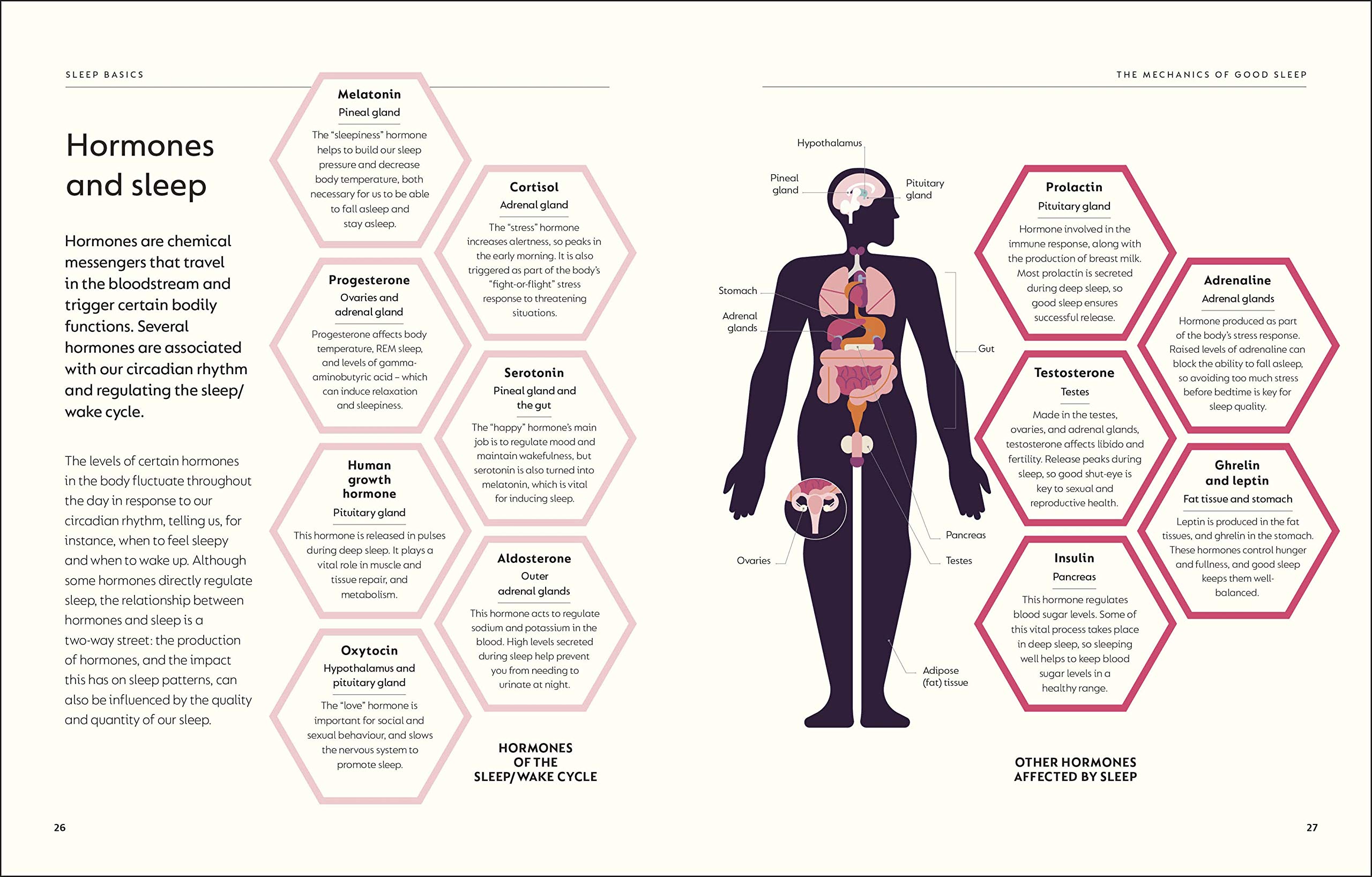 The Science of Sleep | Heather Darwall-Smith - 2 | YEO