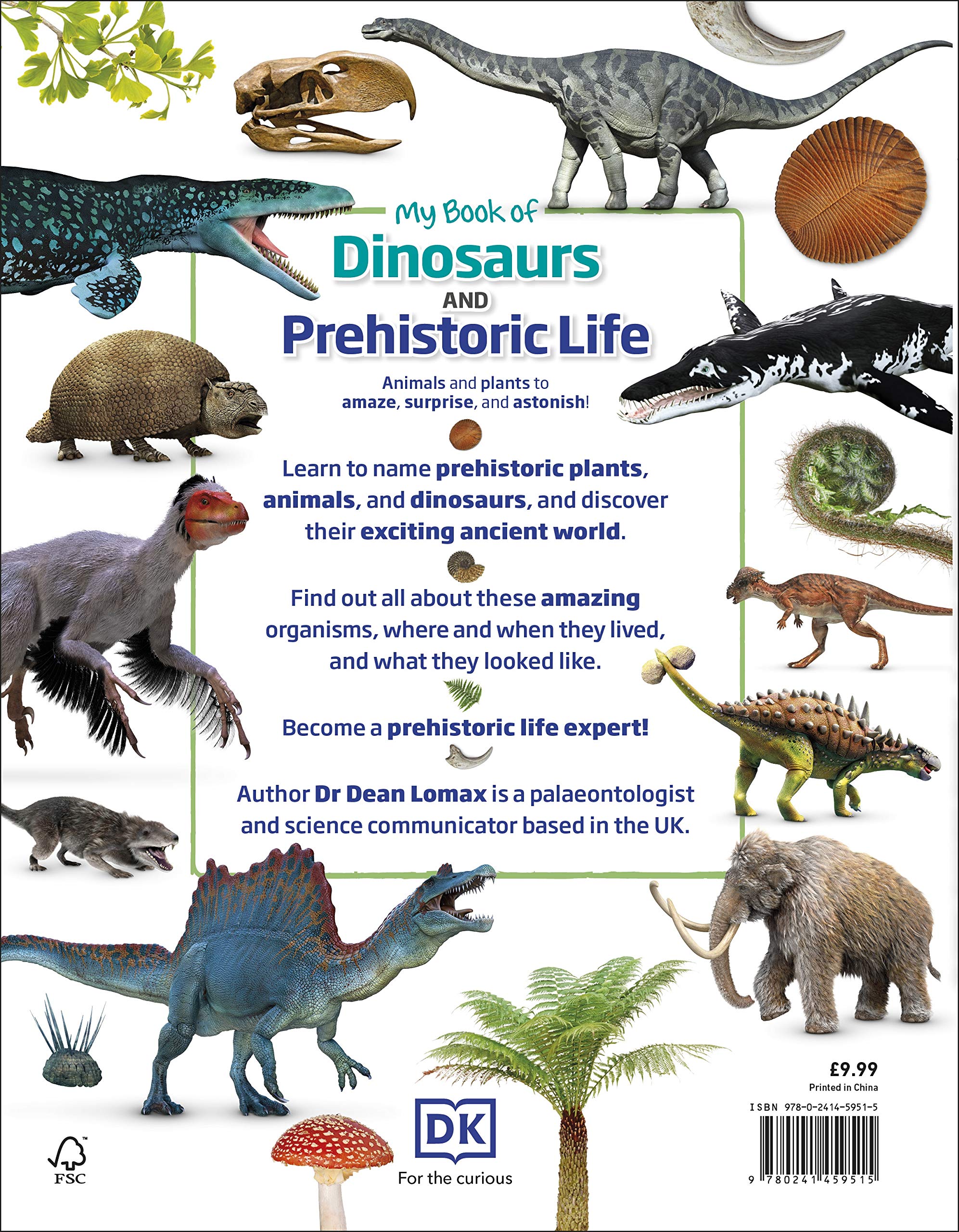 My Book of Dinosaurs and Prehistoric Life | DK - 3 | YEO