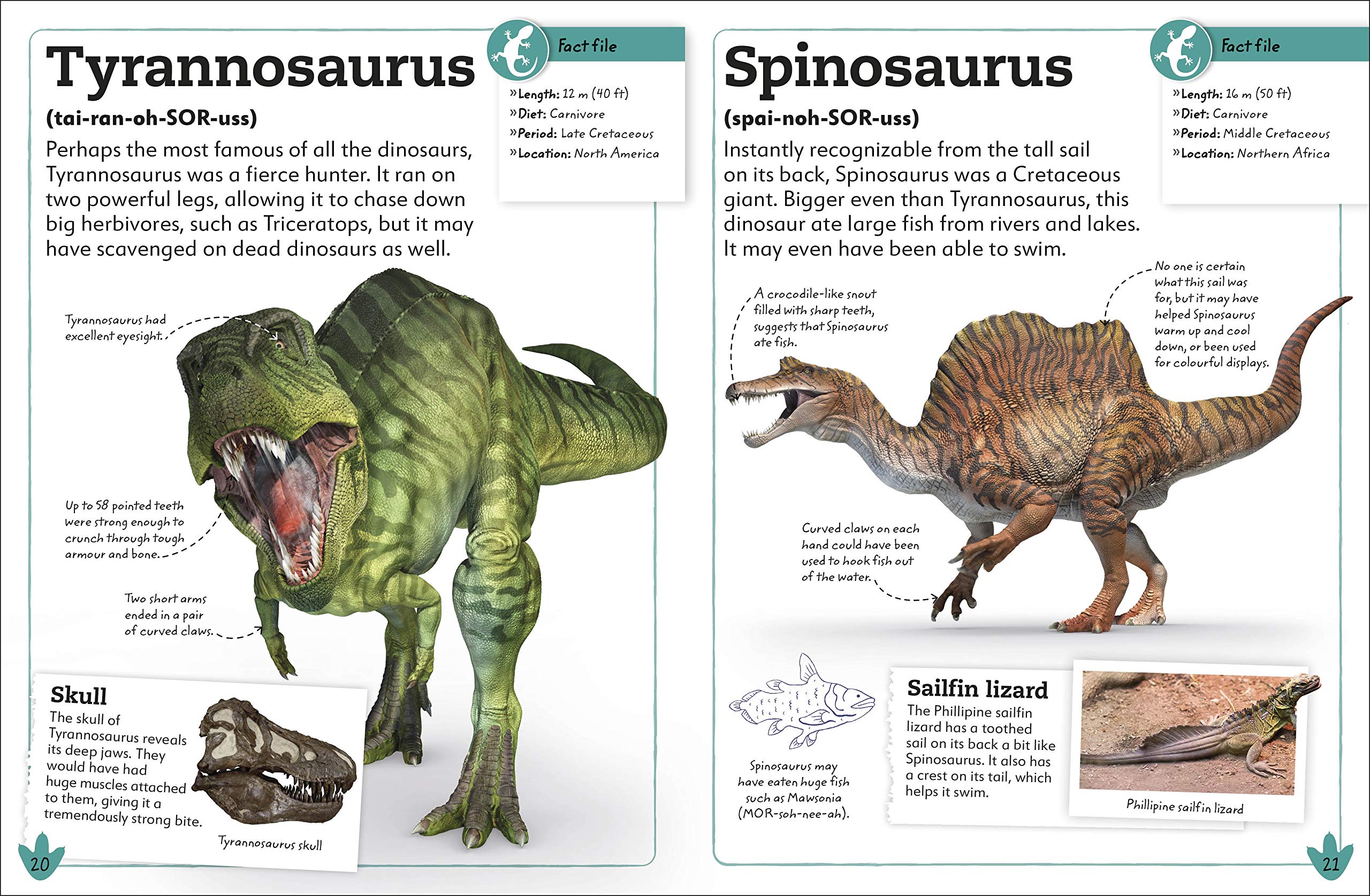 My Book of Dinosaurs and Prehistoric Life | DK - 6 | YEO