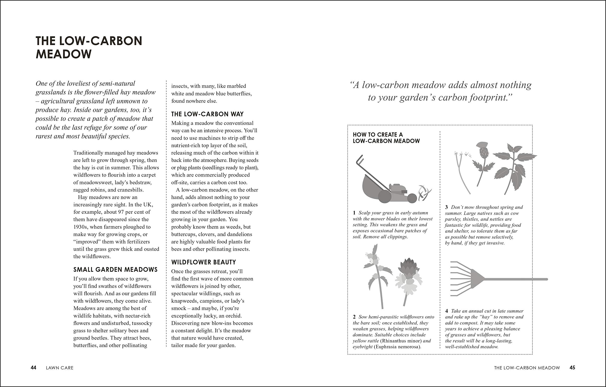 How to Garden the Low-Carbon Way | Sally Nex - 3 | YEO