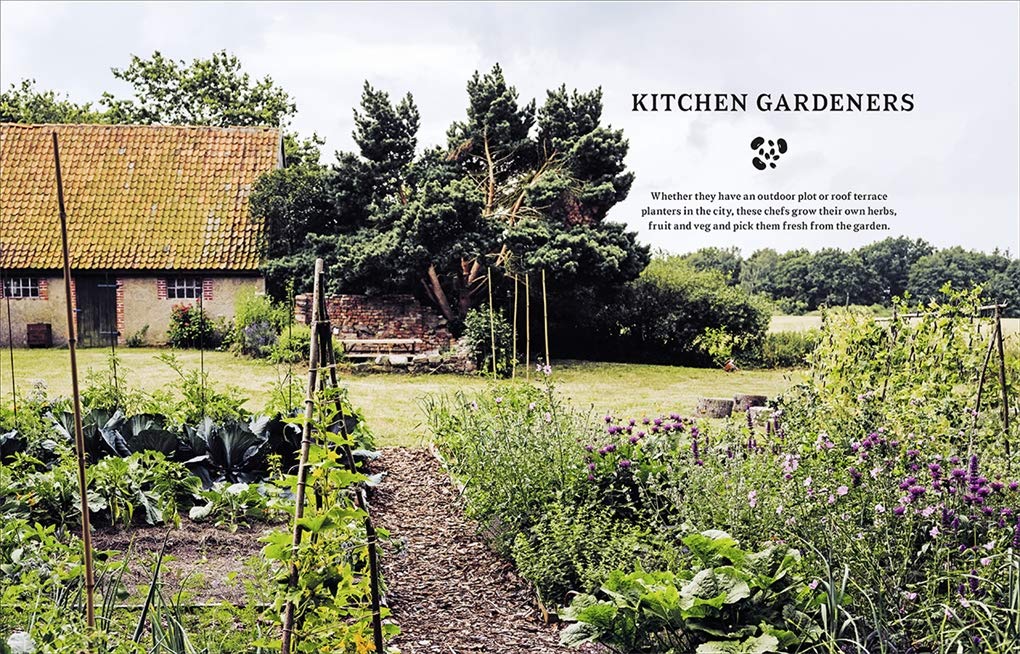 Wild Kitchen | Claire Bingham - 2 | YEO