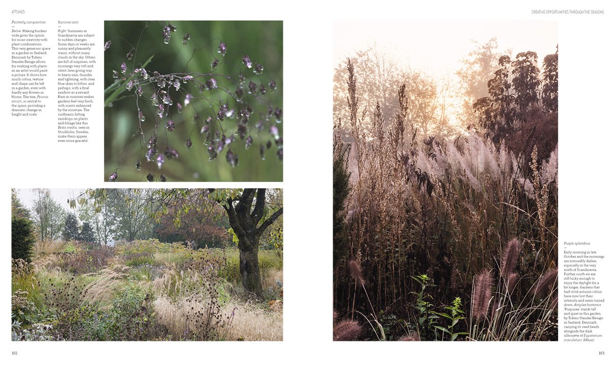 New Nordic Gardens | Annika Zetterman - 8 | YEO