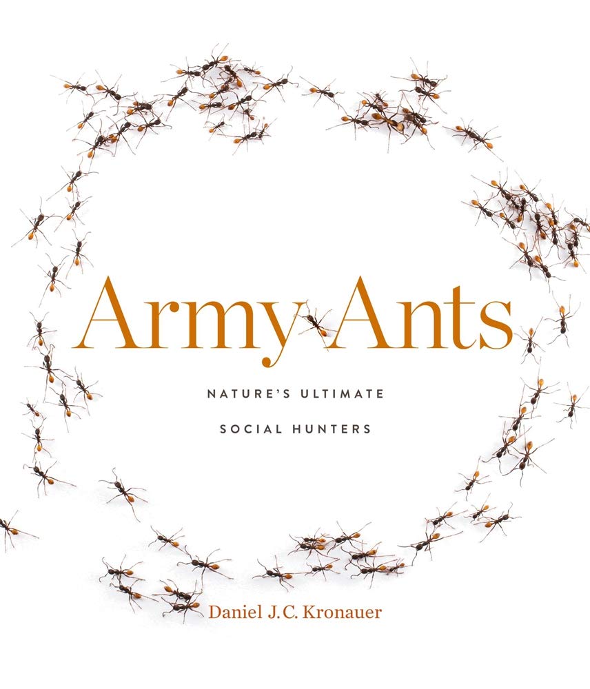 Army Ants | Daniel J. C. Kronauer