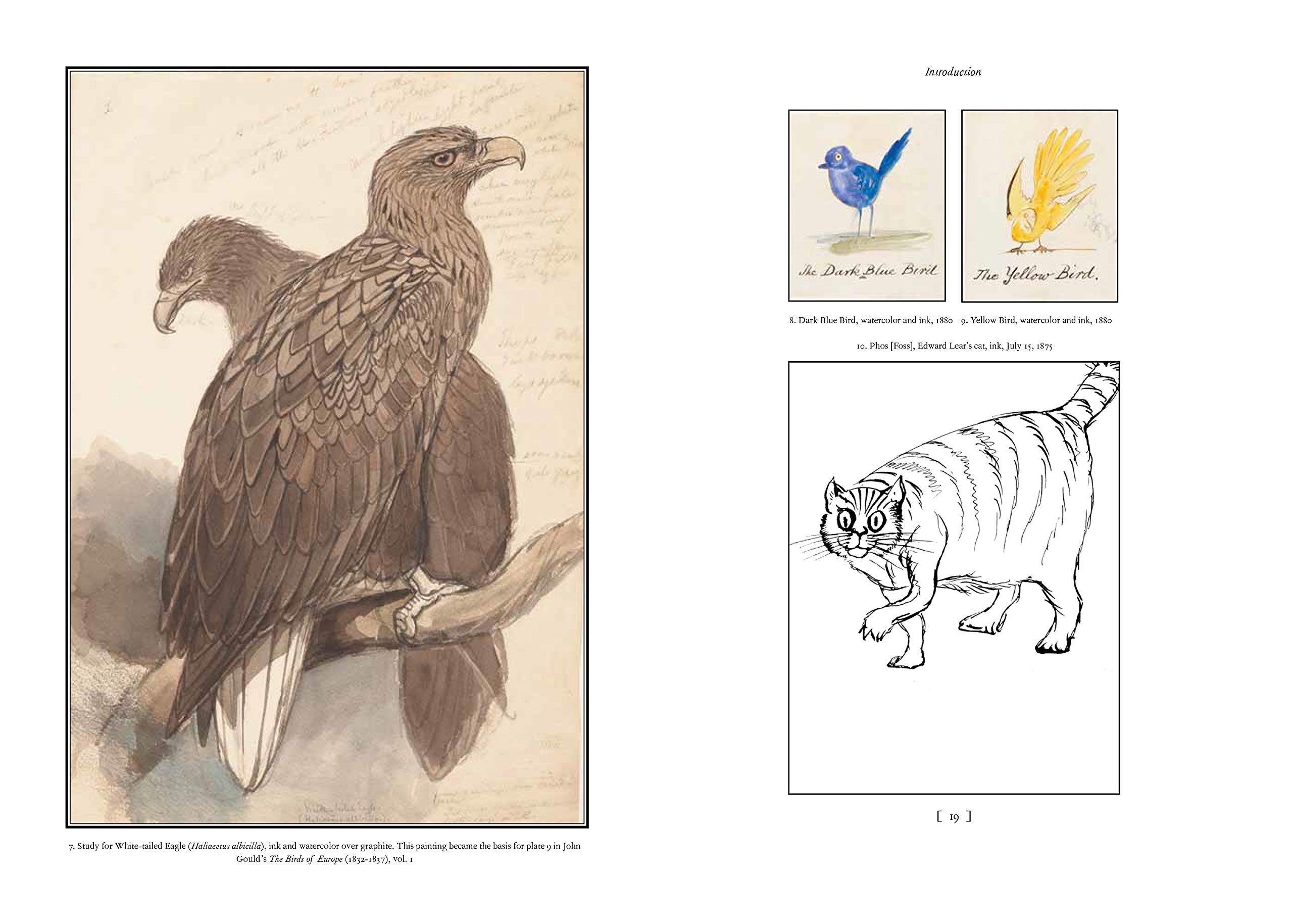 The Natural History of Edward Lear | Robert McCracken Peck - 4 | YEO