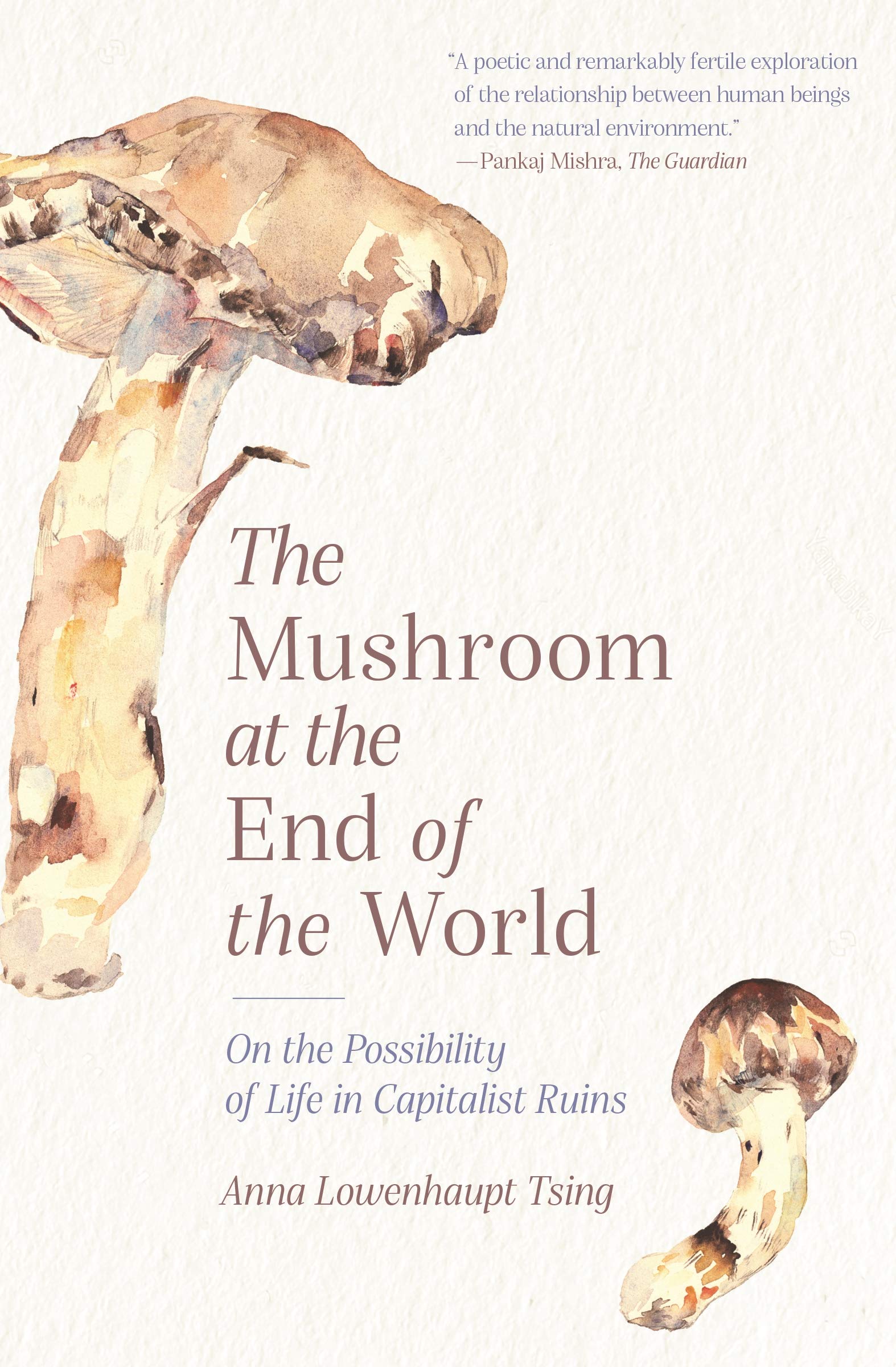 Mushroom at the End of the World | Anna Lowenhaupt Tsing