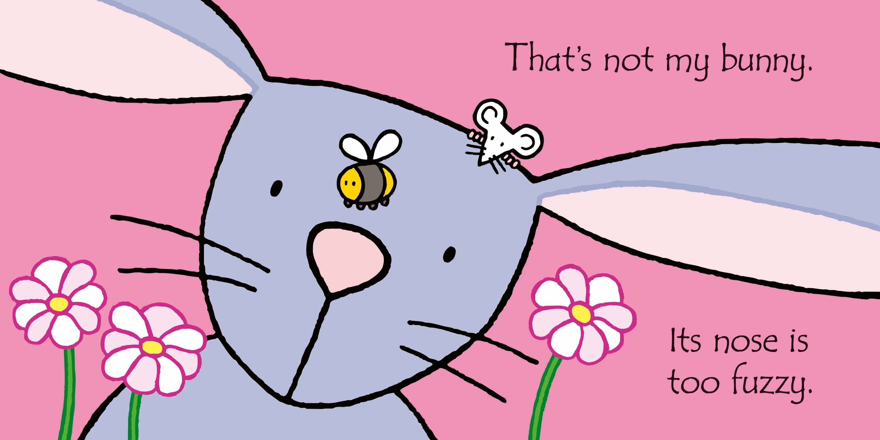 That\'s not my bunny | Fiona Watt