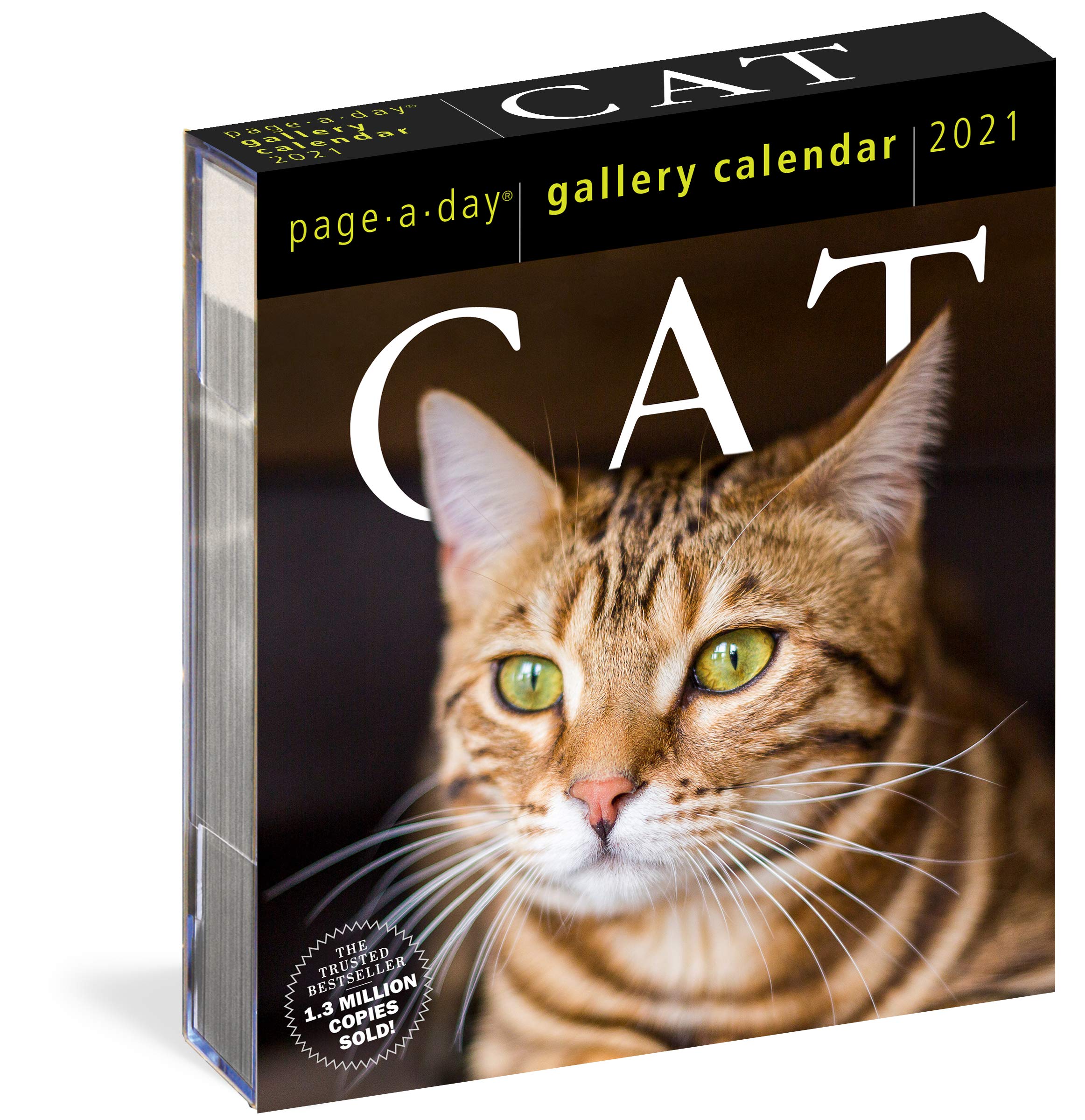 Calendar 2021 - Cat Page-A-Day Gallery | Workman Publishing