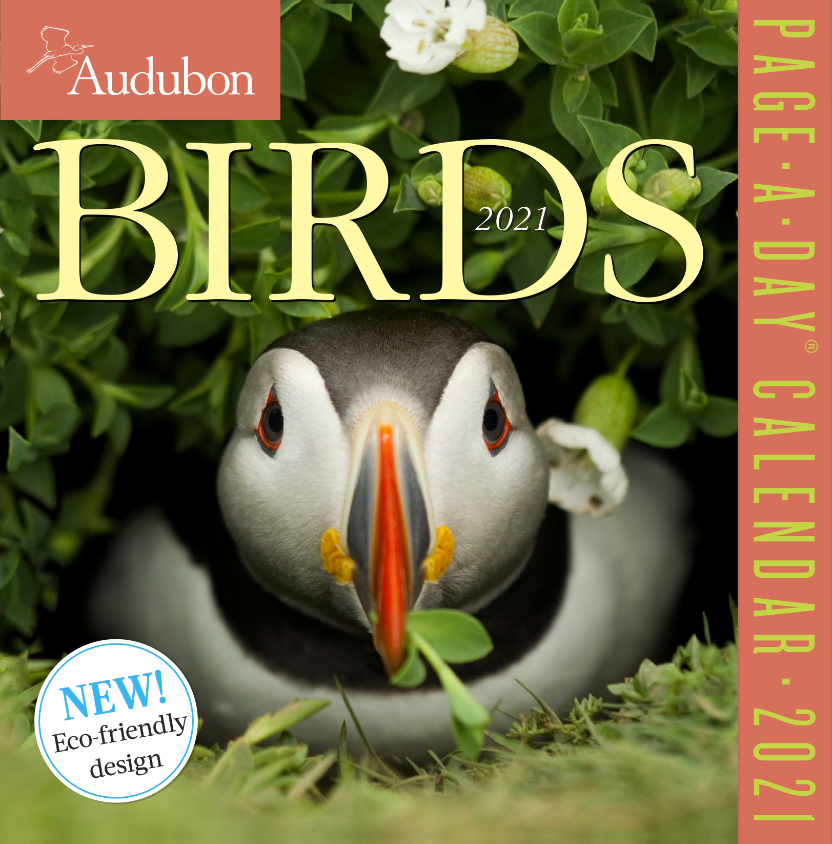 Calendar 2021 - Audubon Birds Page-A-Day | Workman Publishing