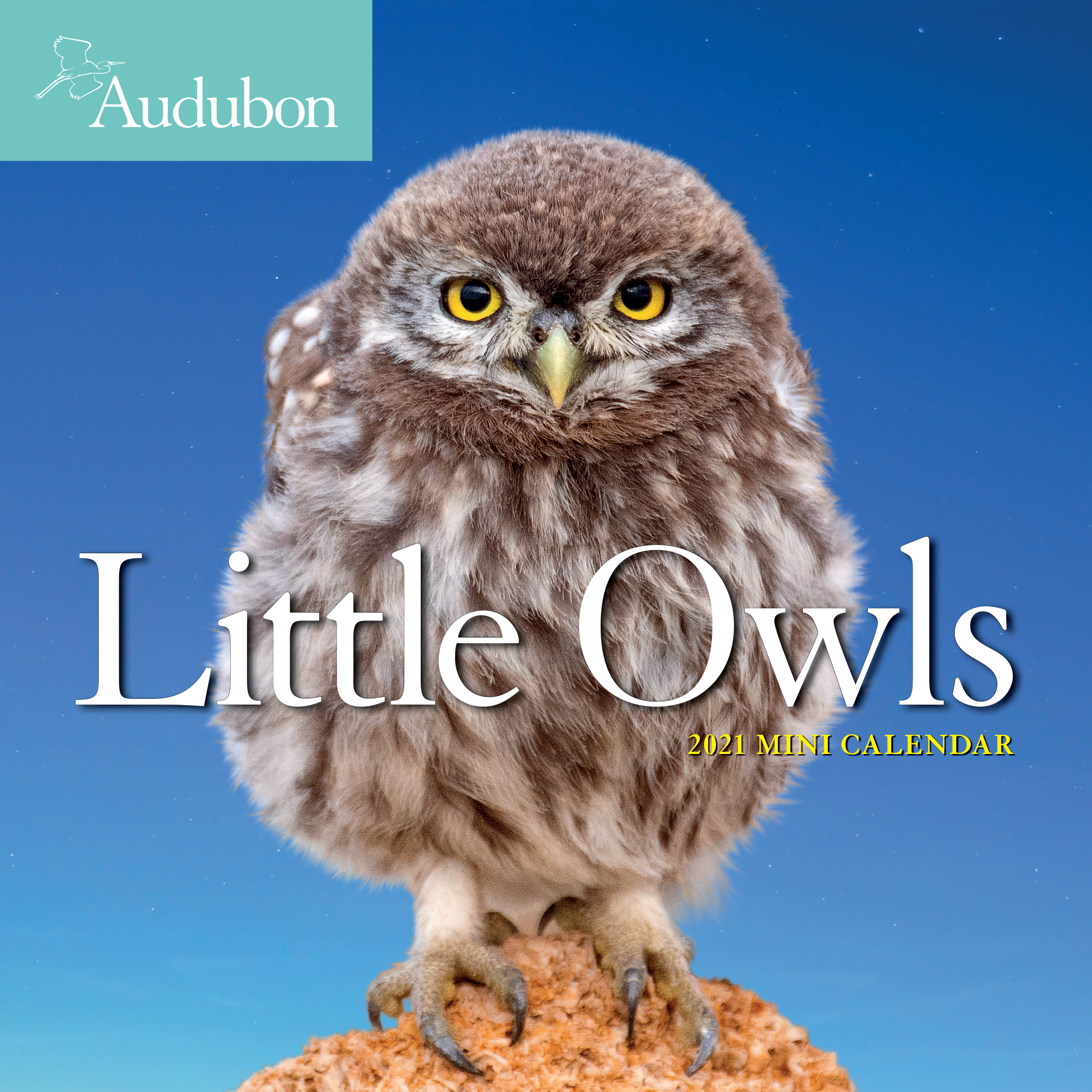 Calendar 2021 - Audubon Little Owls Mini | Workman Publishing