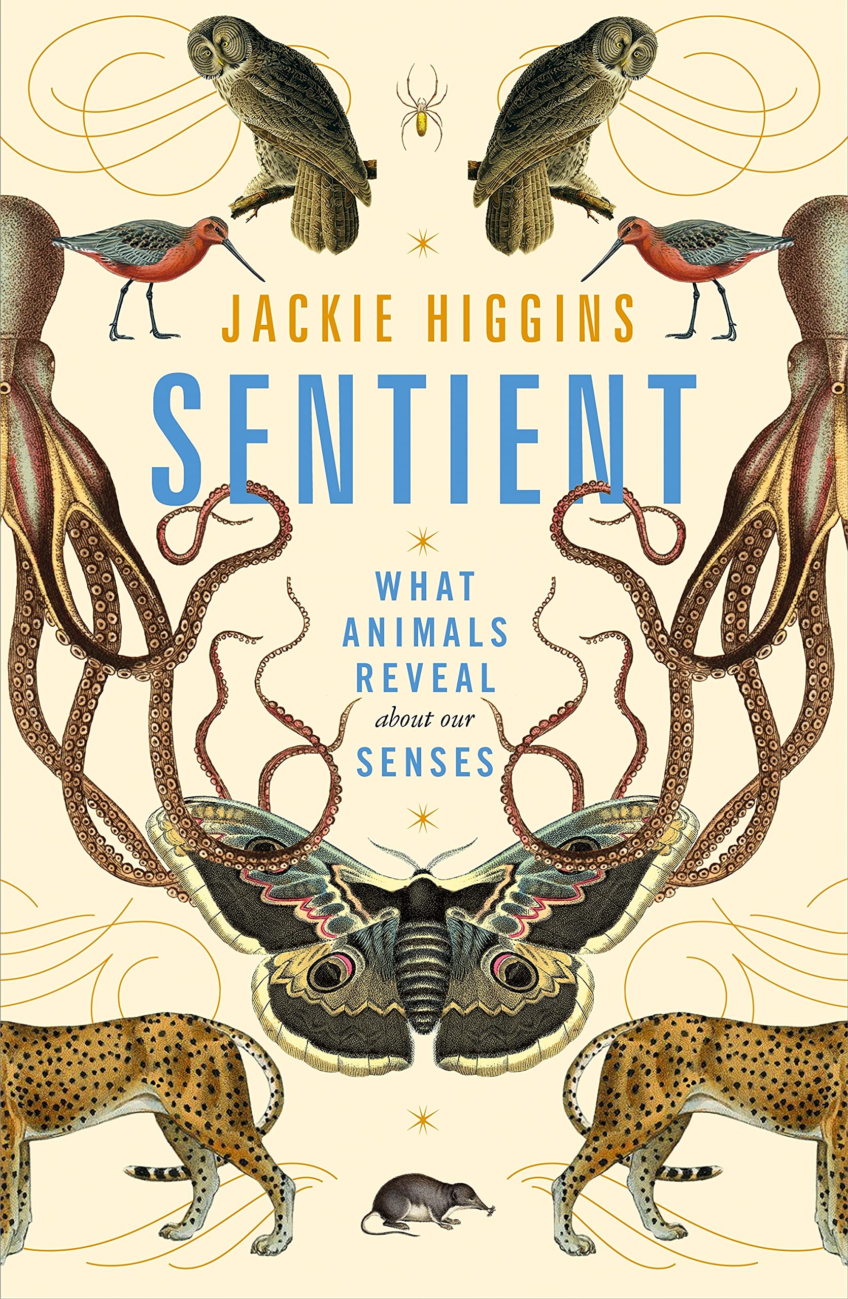 Sentient | Jackie Higgins