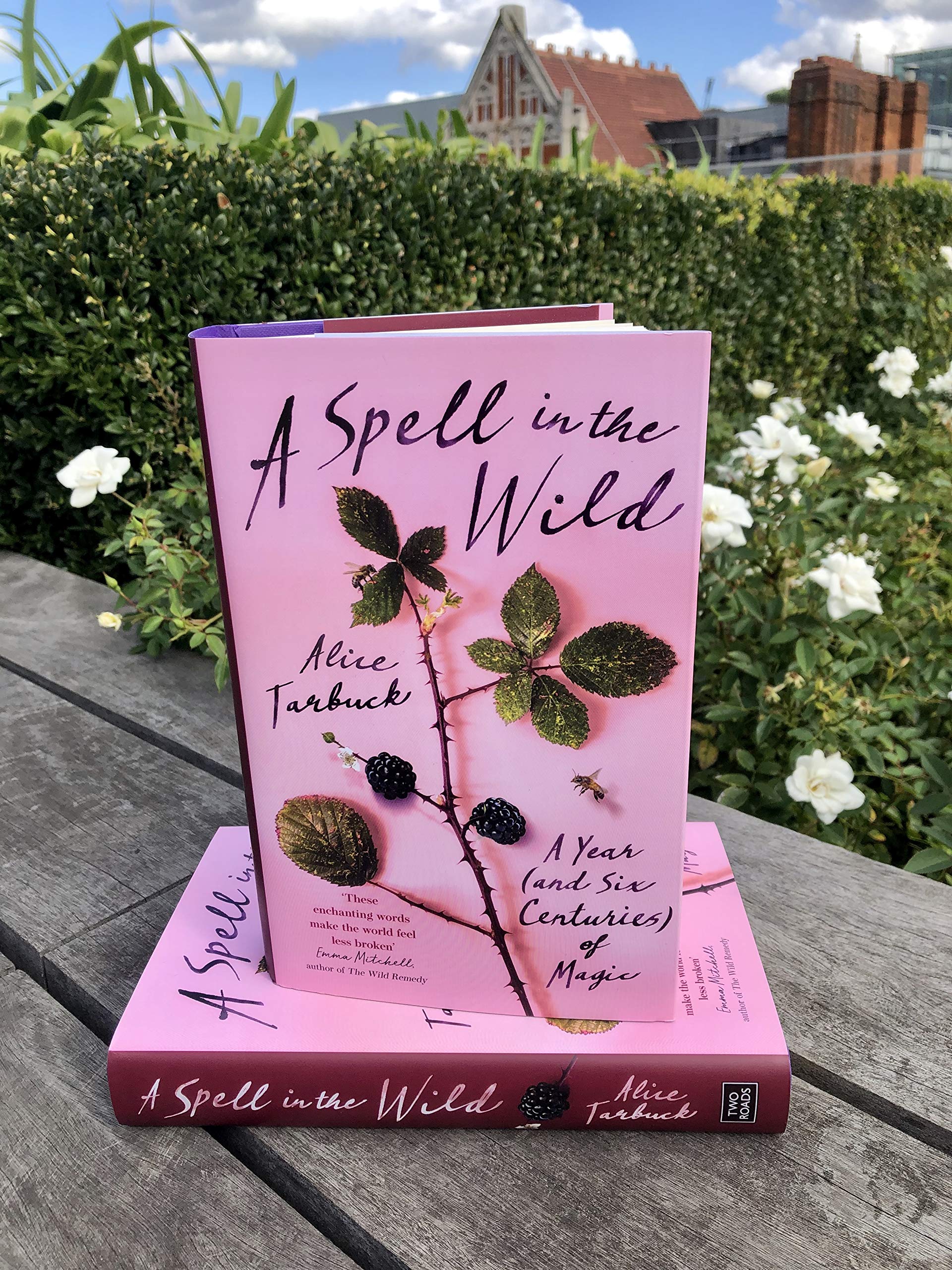 Spell in the Wild | Alice Tarbuck - 1 | YEO