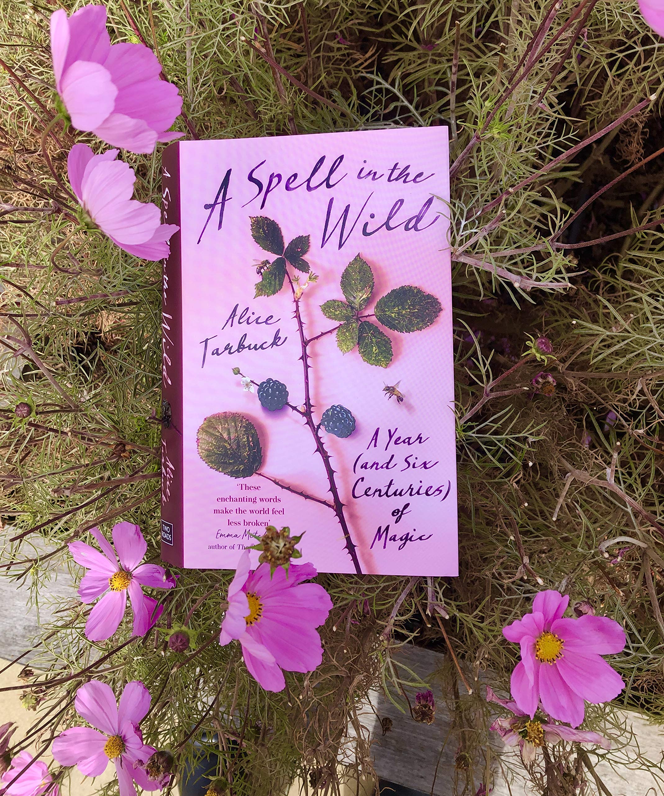 Spell in the Wild | Alice Tarbuck - 2 | YEO