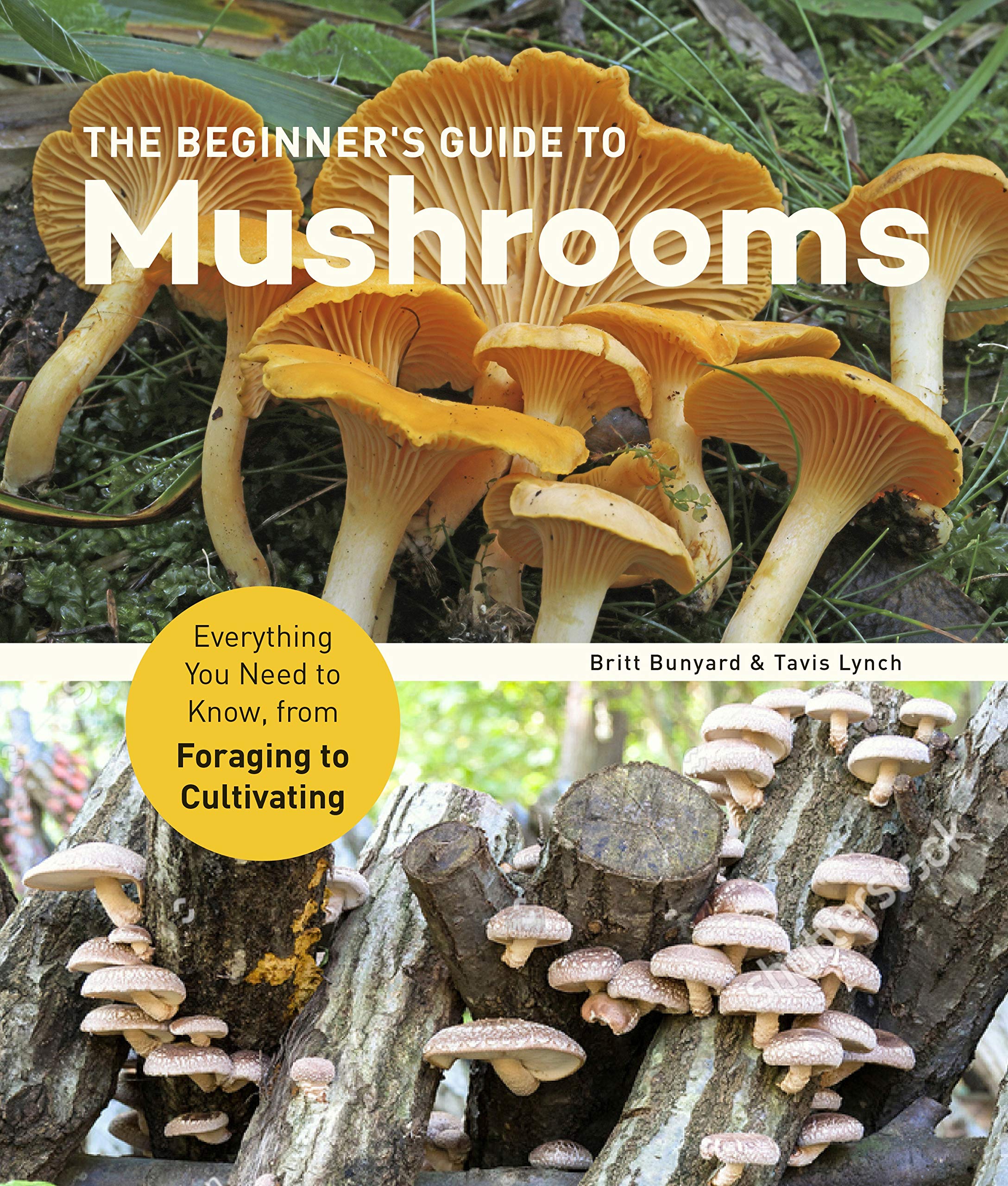 Beginner\'s Guide to Mushrooms | Britt Bunyard, Tavis Lynch