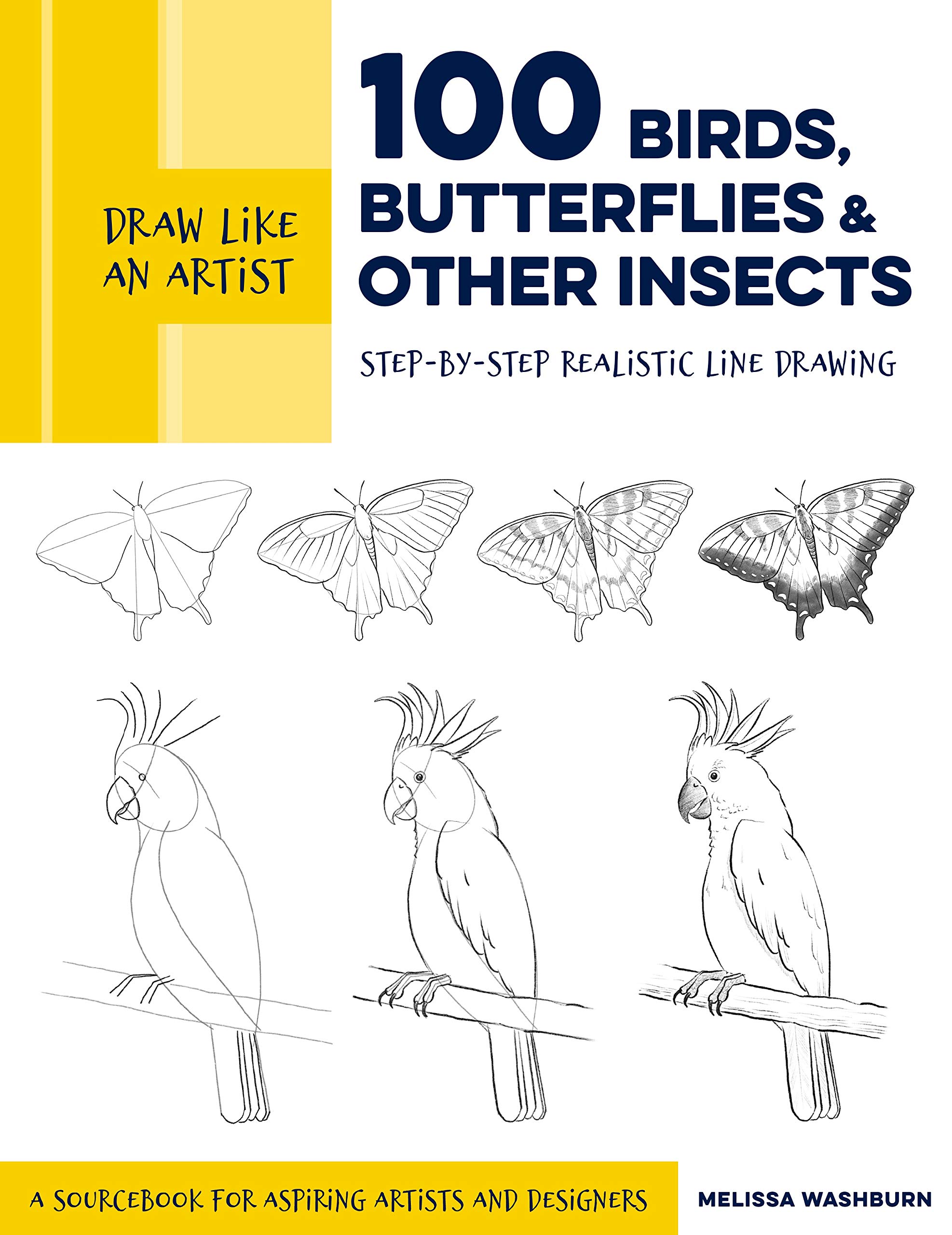 Draw Like an Artist: 100 Birds, Butterflies, and Other Insects | Melissa Washburn