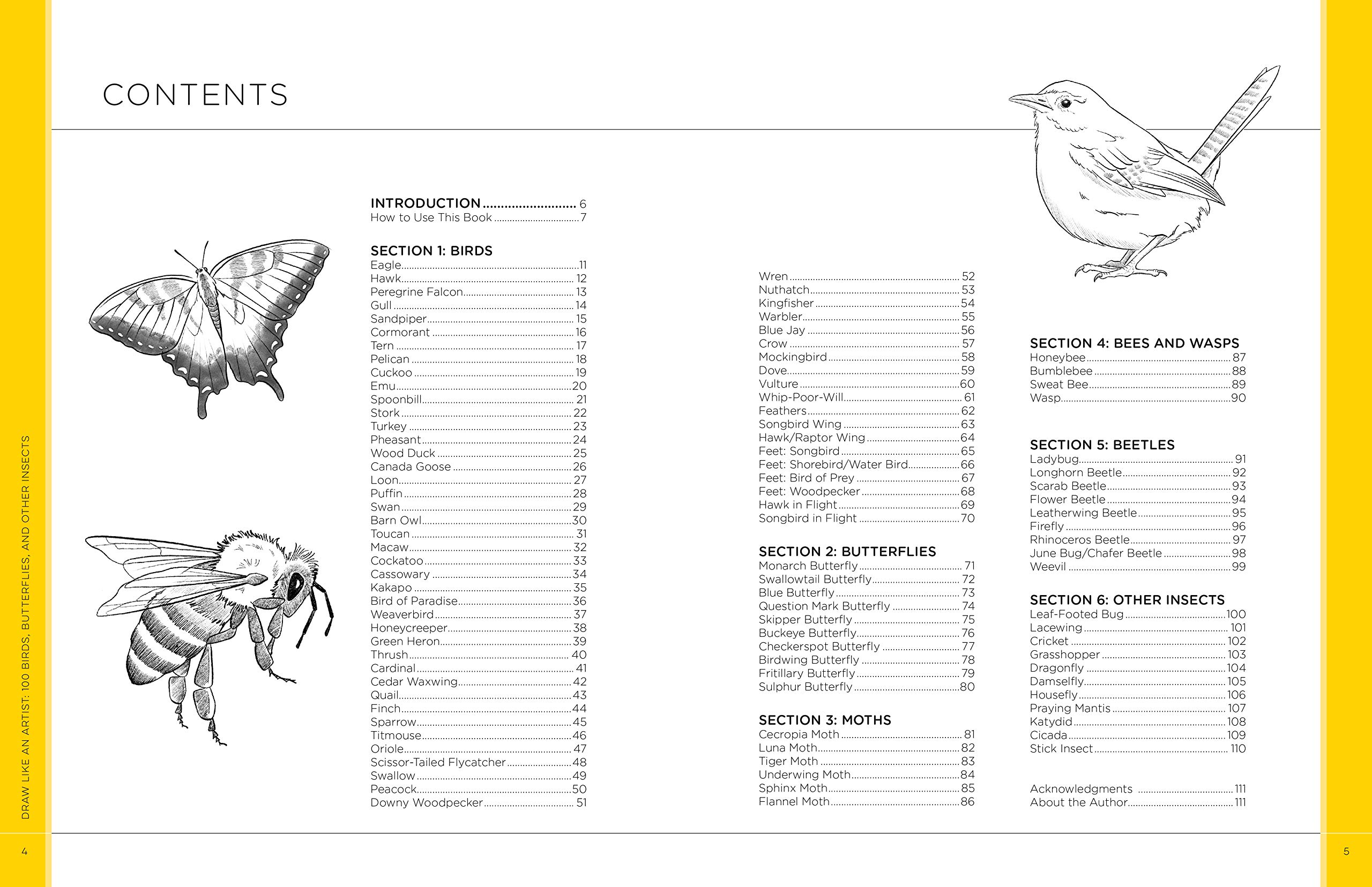 Draw Like an Artist: 100 Birds, Butterflies, and Other Insects | Melissa Washburn - 1 | YEO