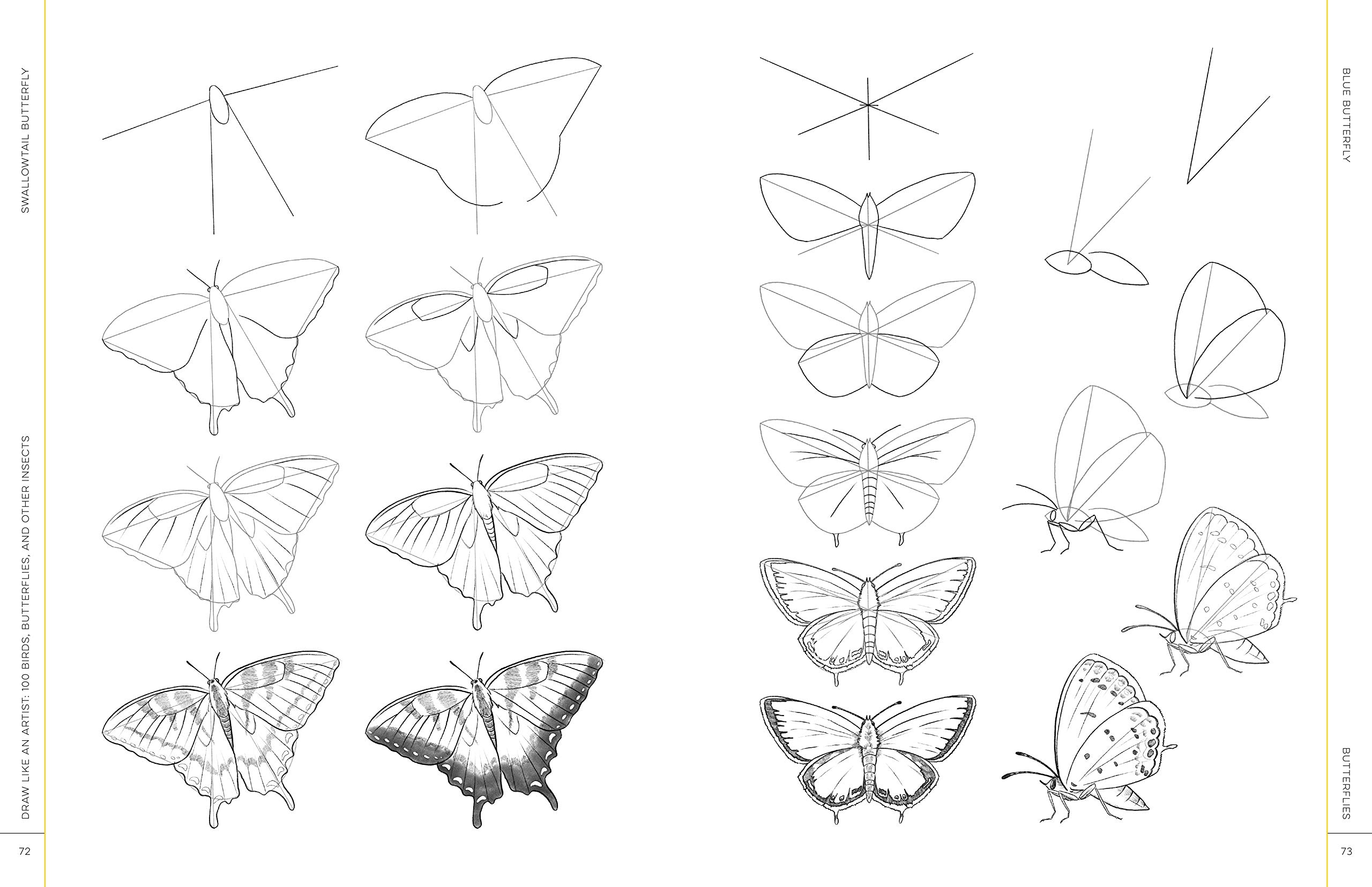 Draw Like an Artist: 100 Birds, Butterflies, and Other Insects | Melissa Washburn - 4 | YEO