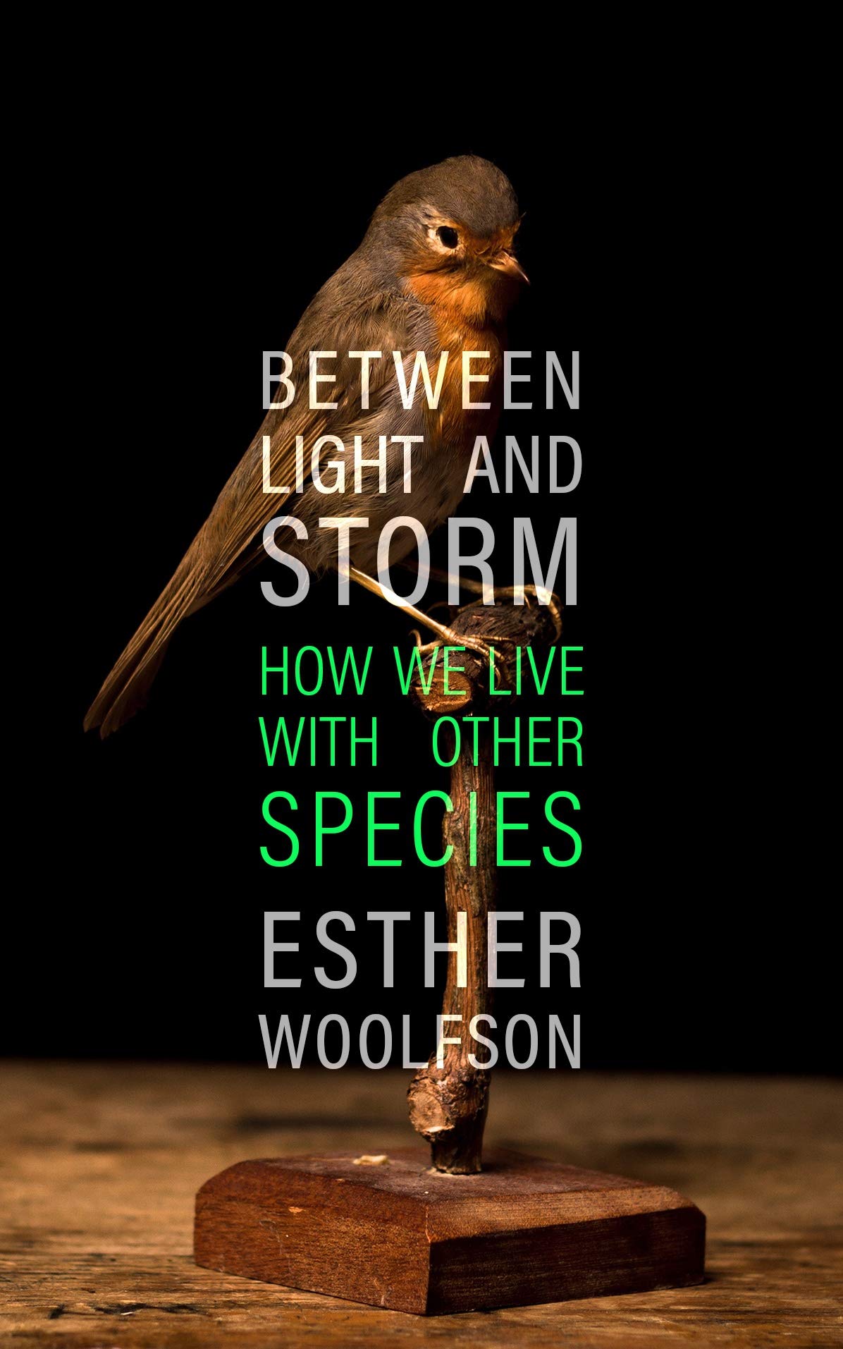 Between Light and Storm | Esther Woolfson