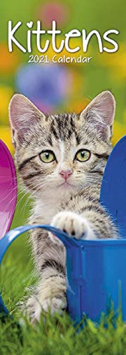 Calendar 2021 - Kittens - Slim | Avonside Publishing Ltd