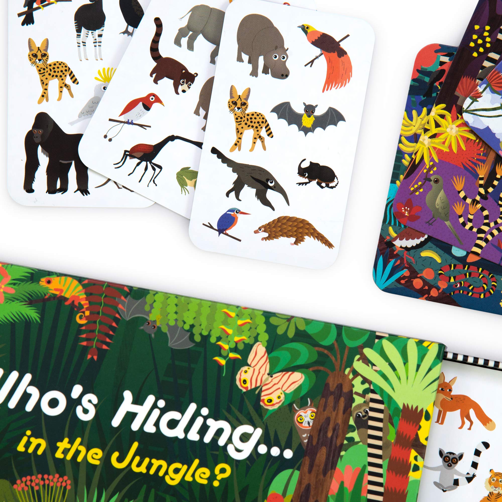 Who\'s Hiding in the Jungle? | Caroline Selmes - 5 | YEO