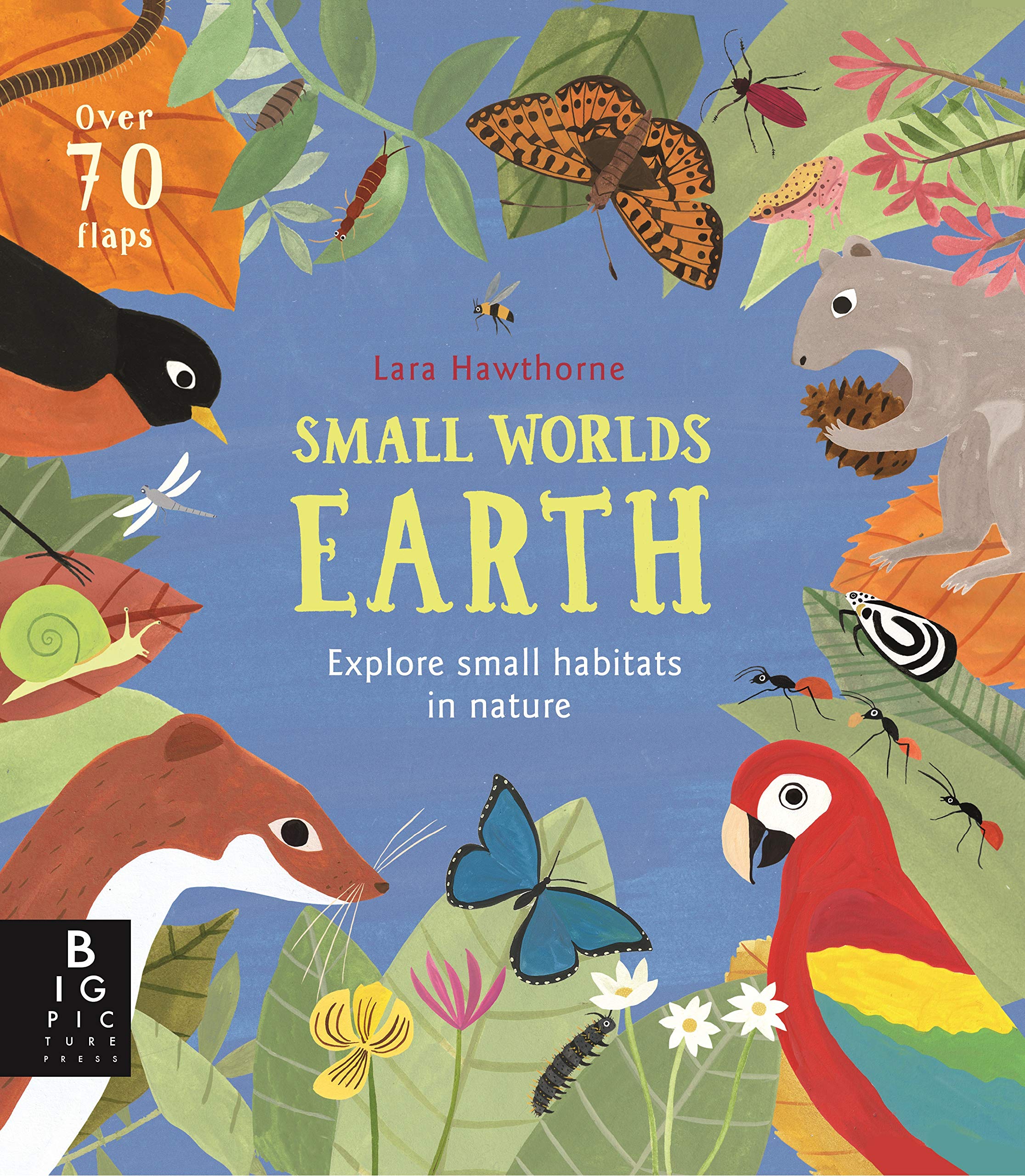 Small Worlds: Earth | Camilla De La Bedoyere