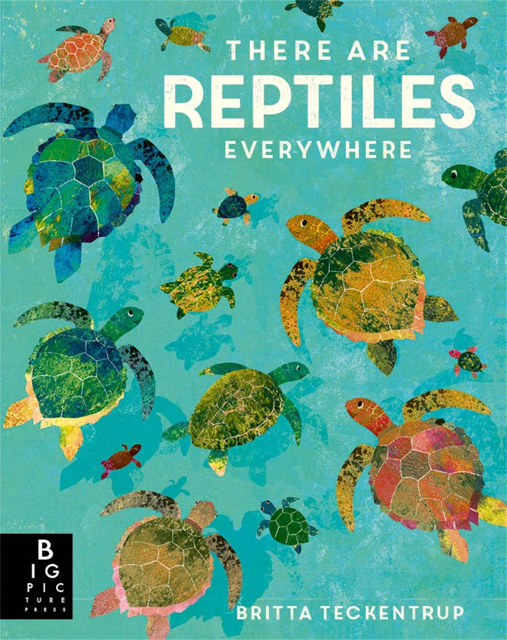 There are Reptiles Everywhere | Camilla De La Bedoyere