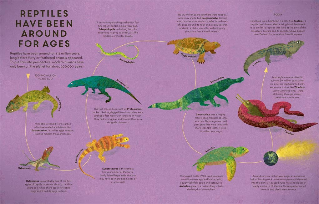 There are Reptiles Everywhere | Camilla De La Bedoyere - 1 | YEO