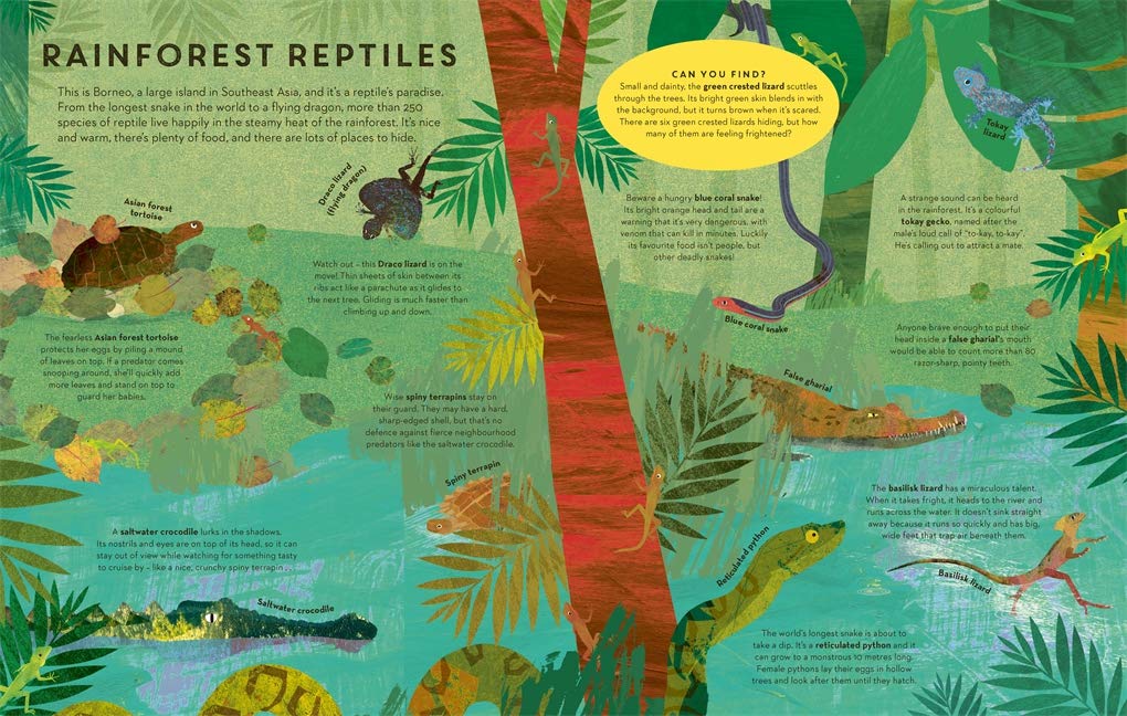 There are Reptiles Everywhere | Camilla De La Bedoyere