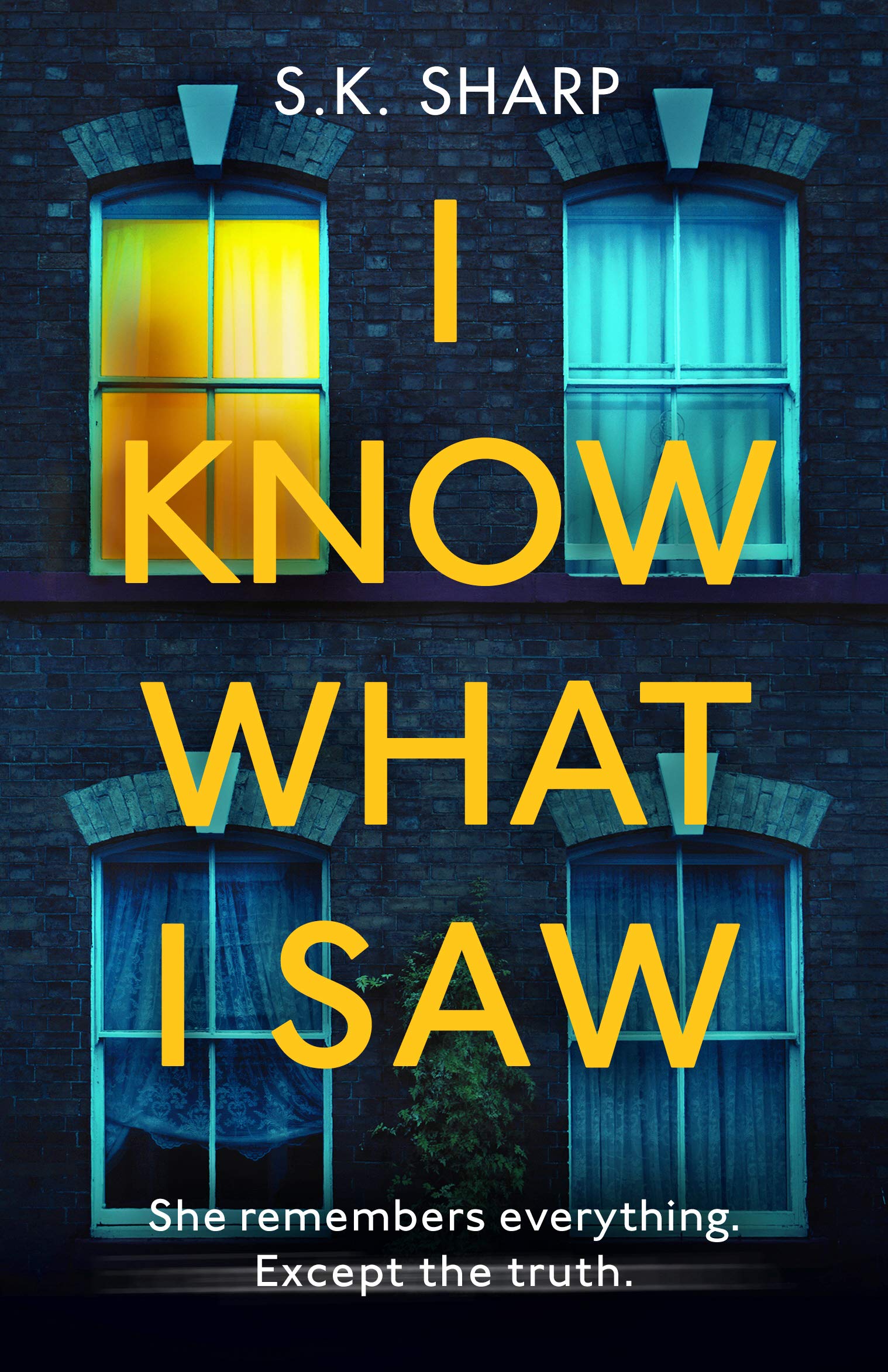 I Know What I Saw | S K Sharp