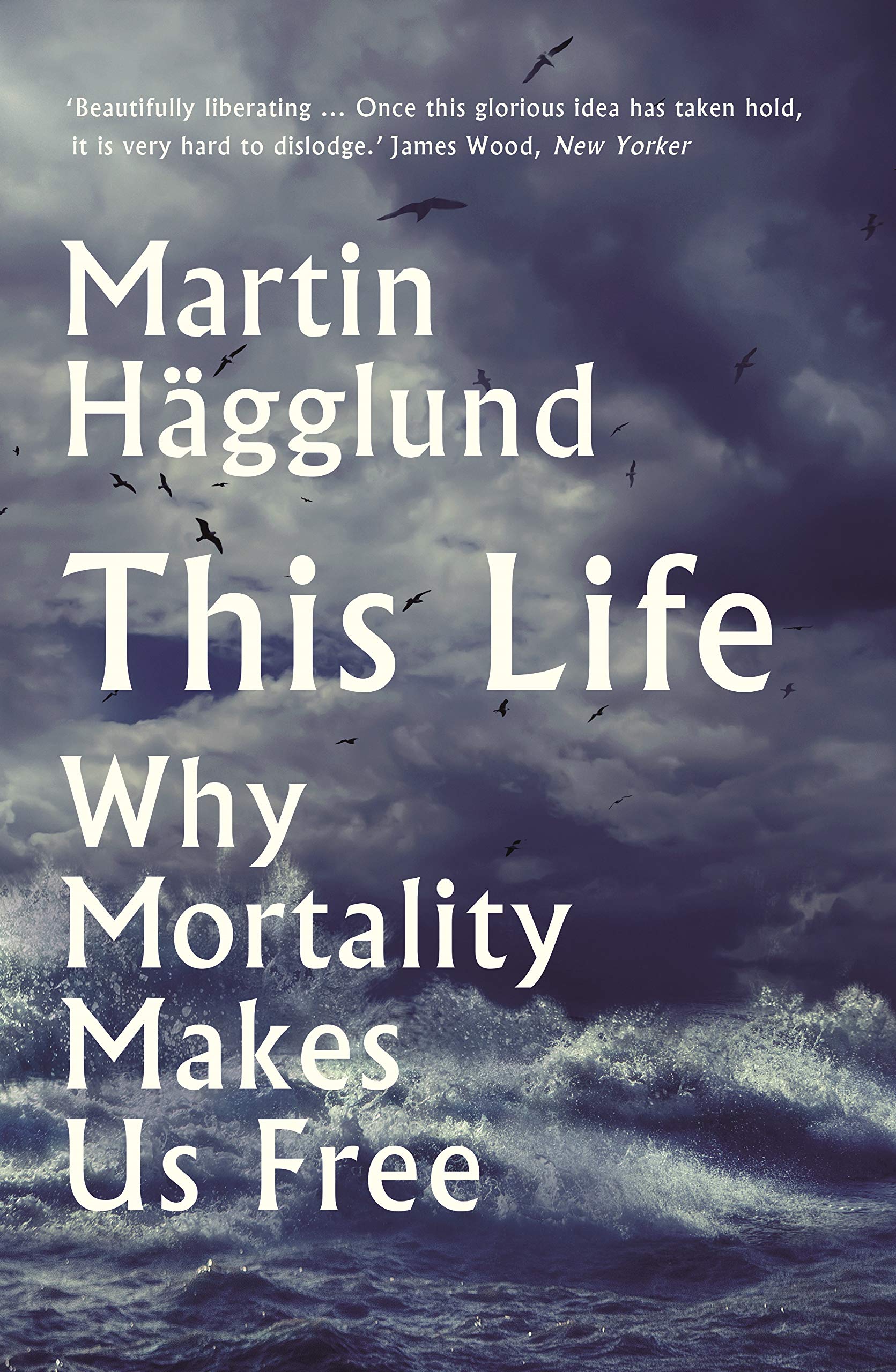 This Life | Martin Hagglund