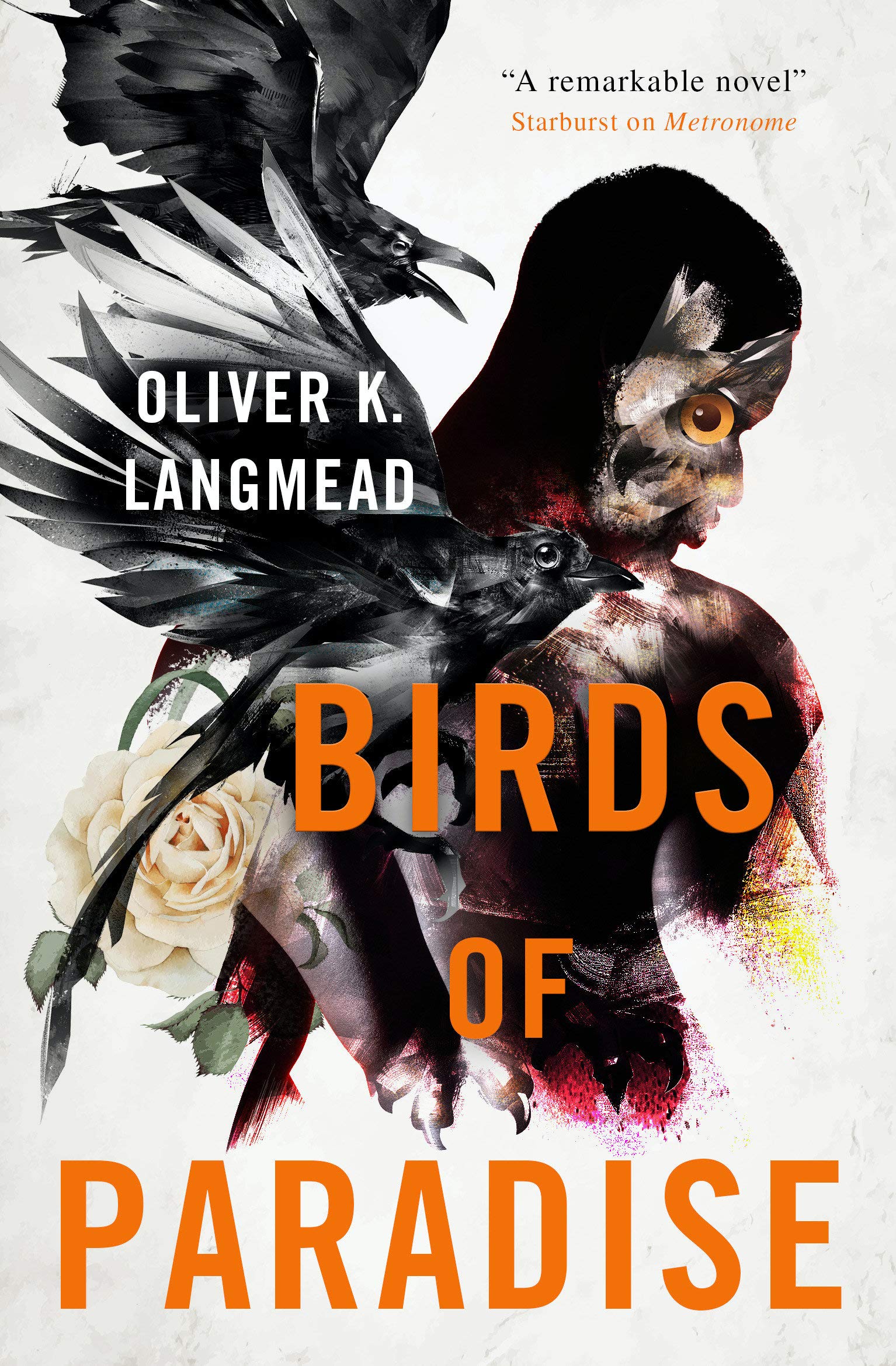 Birds of Paradise | Oliver K Langmead