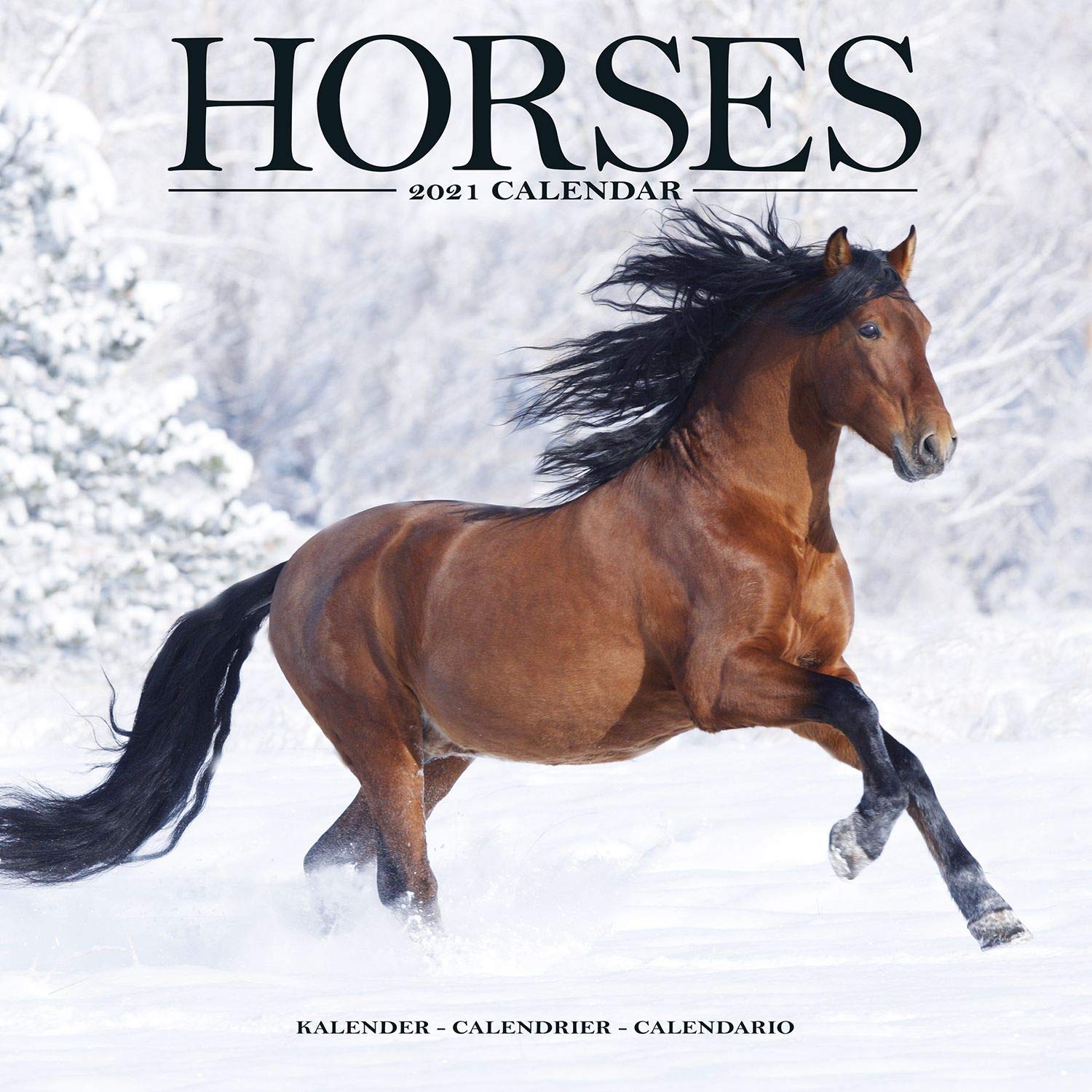 Calendar 2021 - Horses | Avonside Publishing Ltd