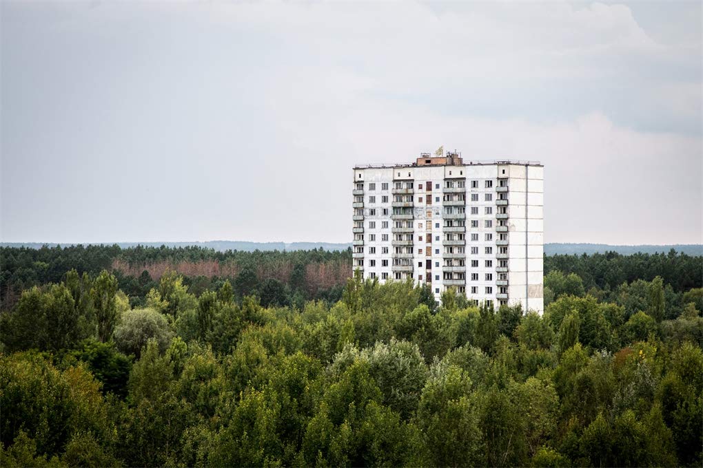 Chernobyl: A Stalkers\' Guide | Darmon Richter, FUEL - 6 | YEO