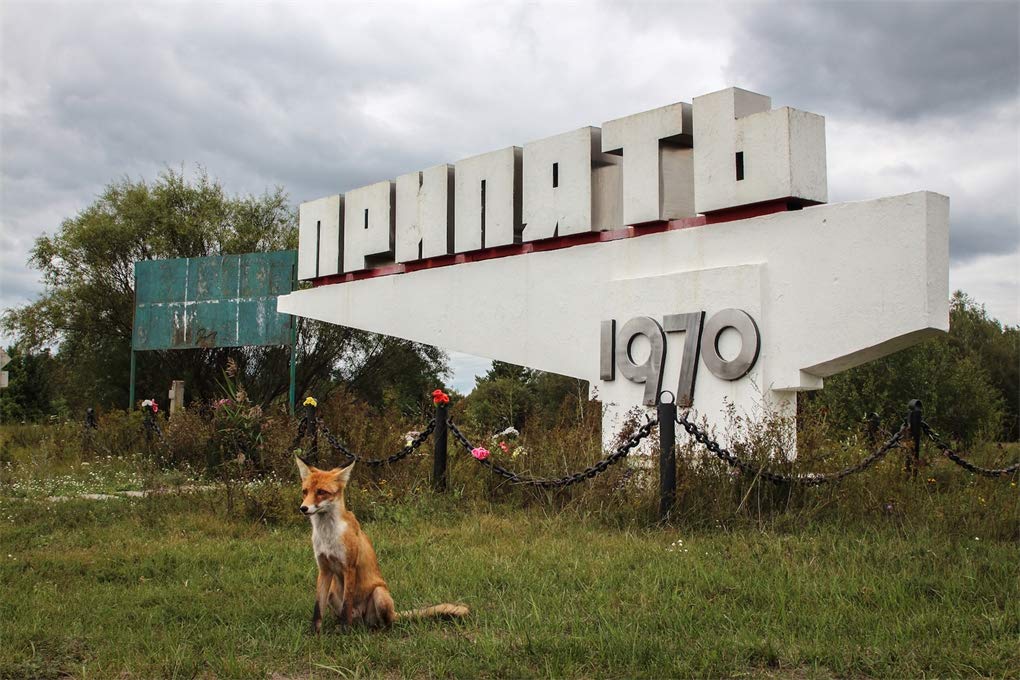 Chernobyl: A Stalkers\' Guide | Darmon Richter, FUEL - 4 | YEO