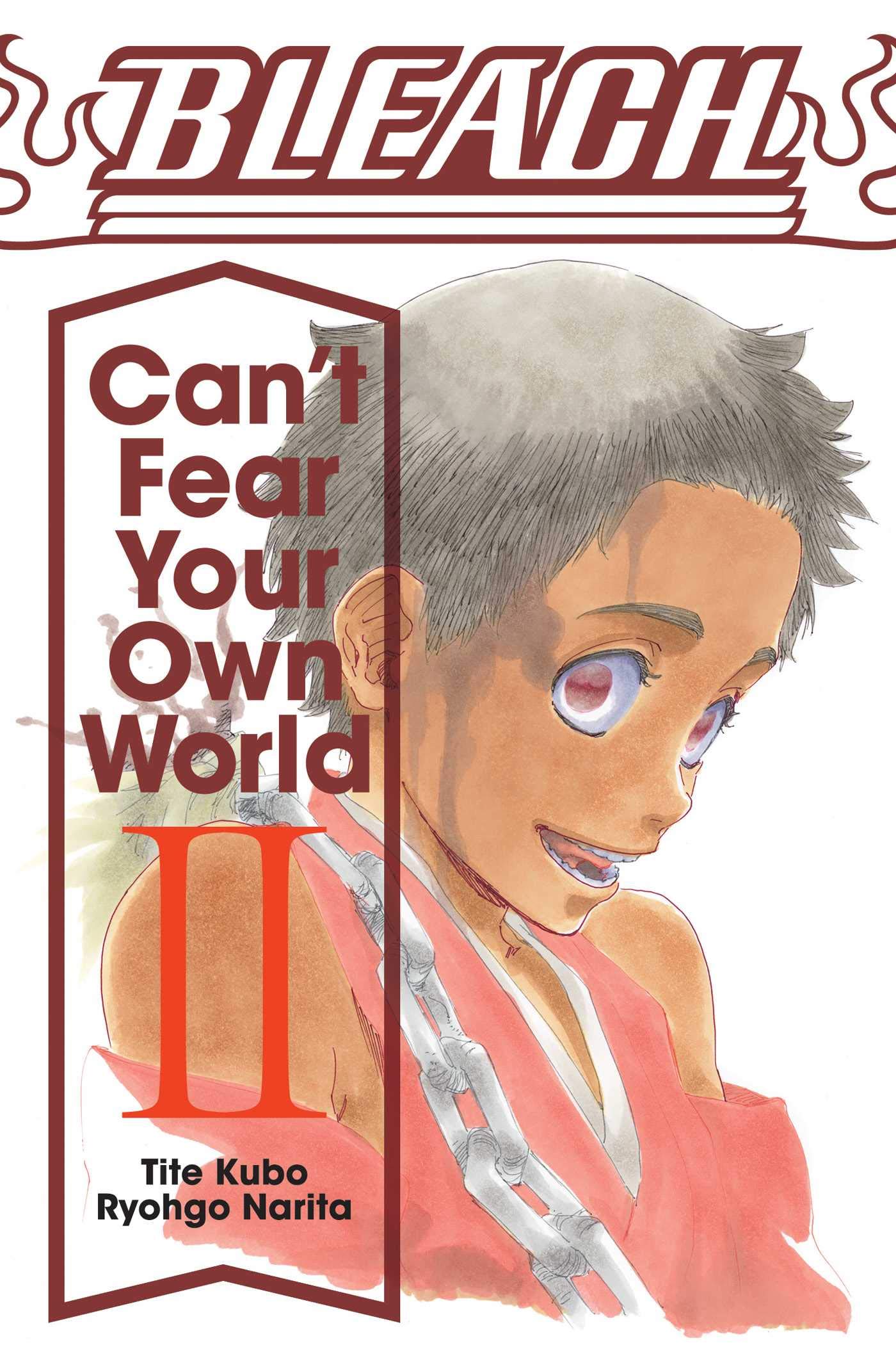 Bleach: Can\'t Fear Your Own World - Volume 2 | Ryohgo Narita