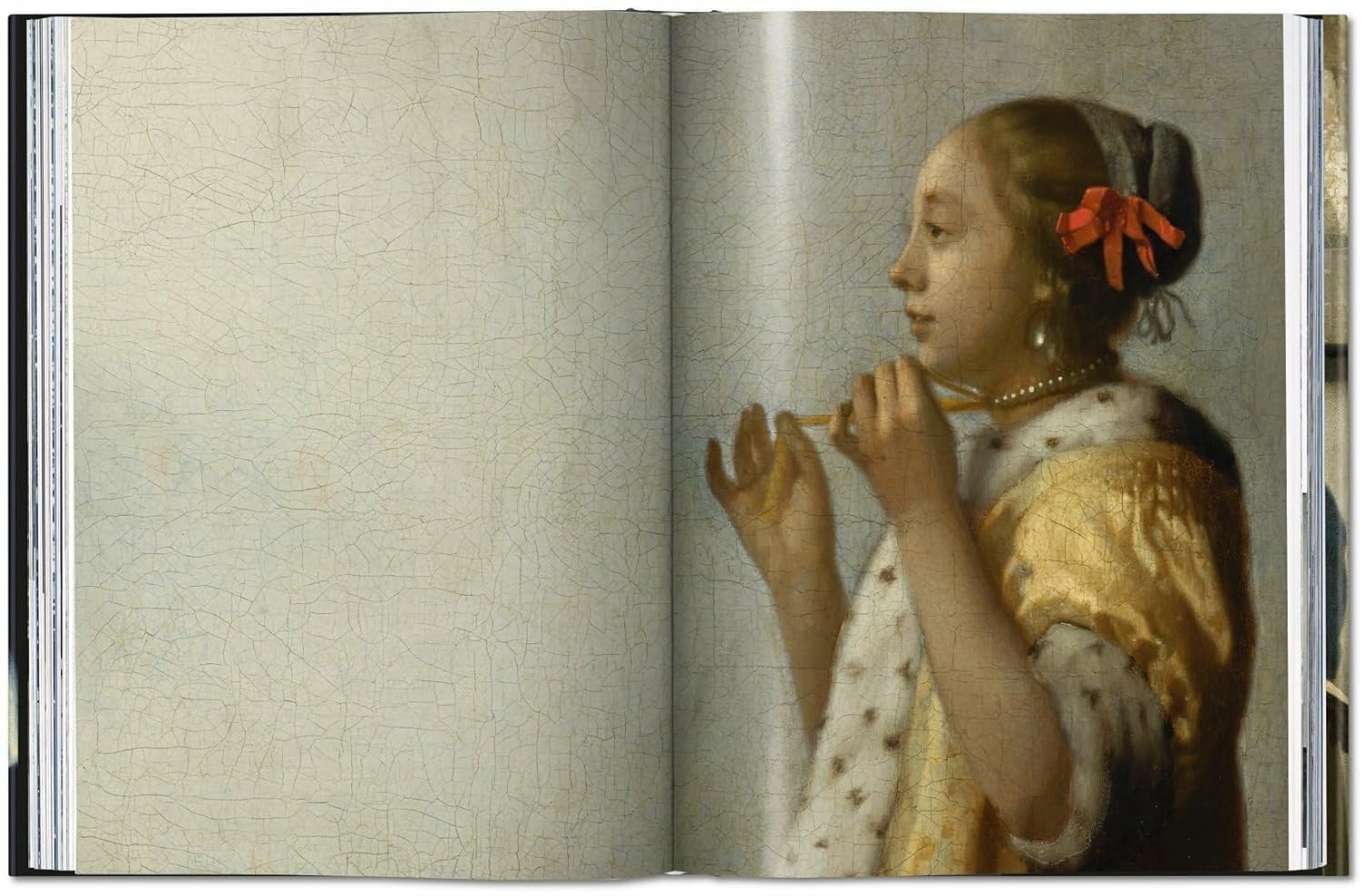 Vermeer. The Complete Works | Karl Schutz, Johannes Vermeer - 5 | YEO