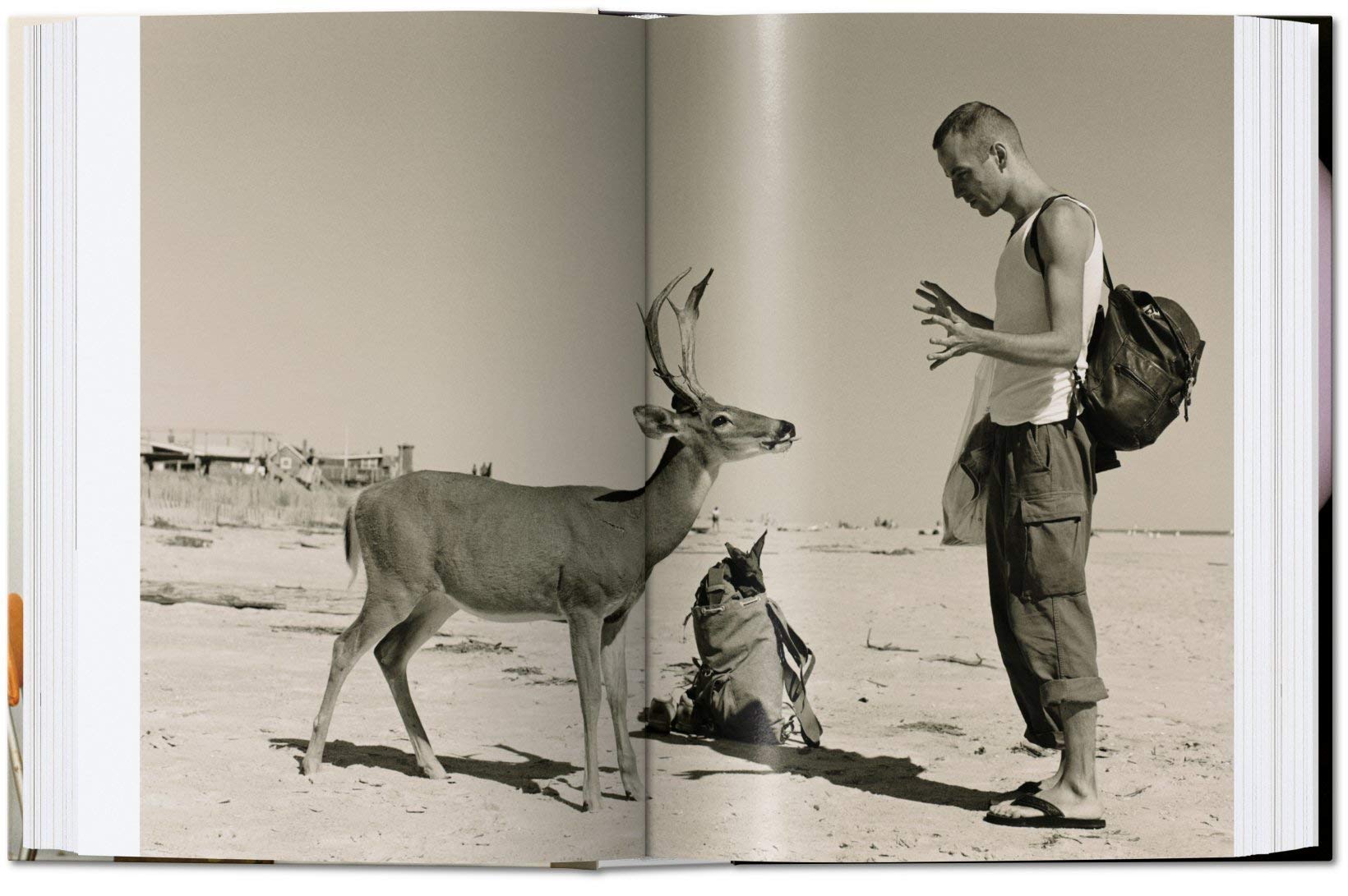 Wolfgang Tillmans. Four Books | Wolfgang Tillmans - 4 | YEO