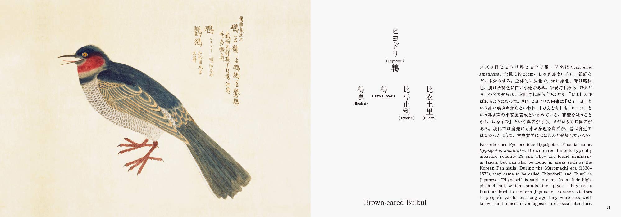 Birds of Edo | - 5 | YEO