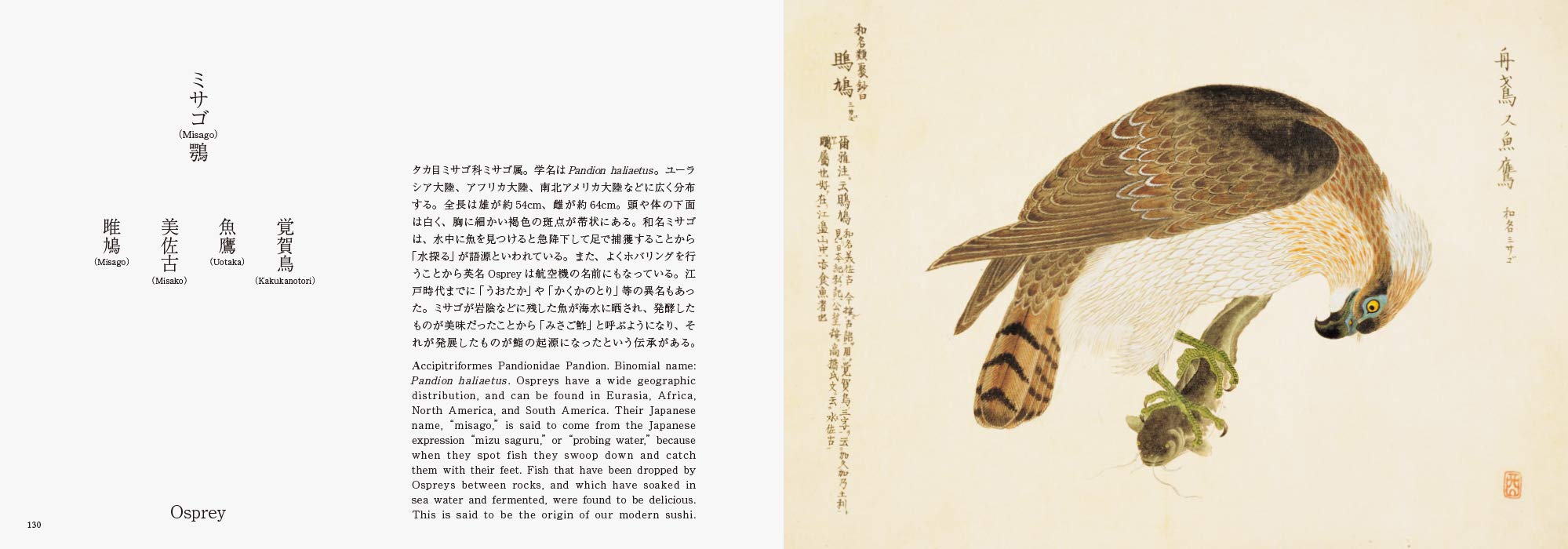 Birds of Edo | - 2 | YEO