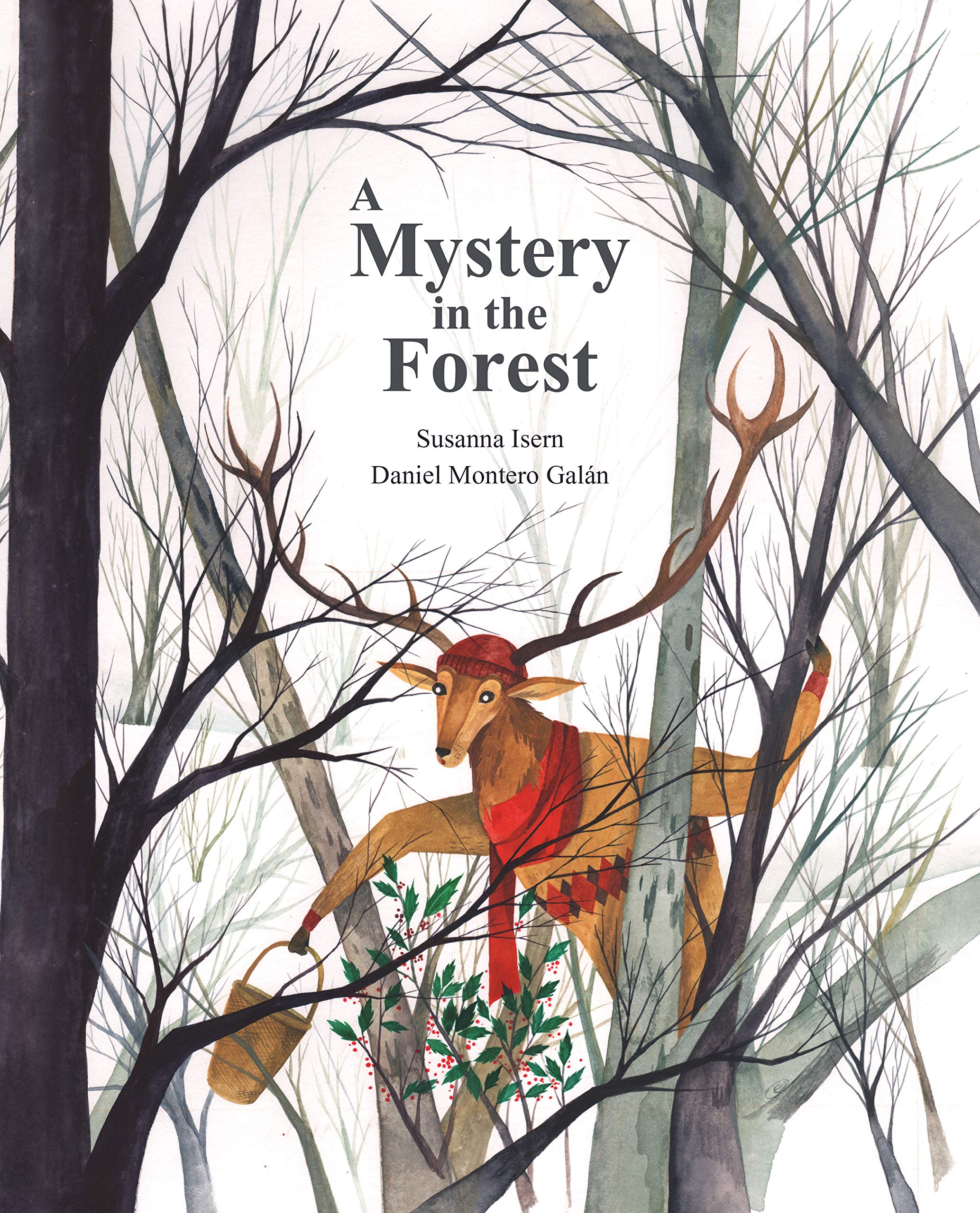 Mystery in the Forest | Susanna Isern