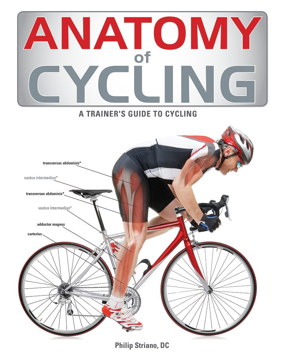 Anatomy of Cycling | Jennifer Laurita
